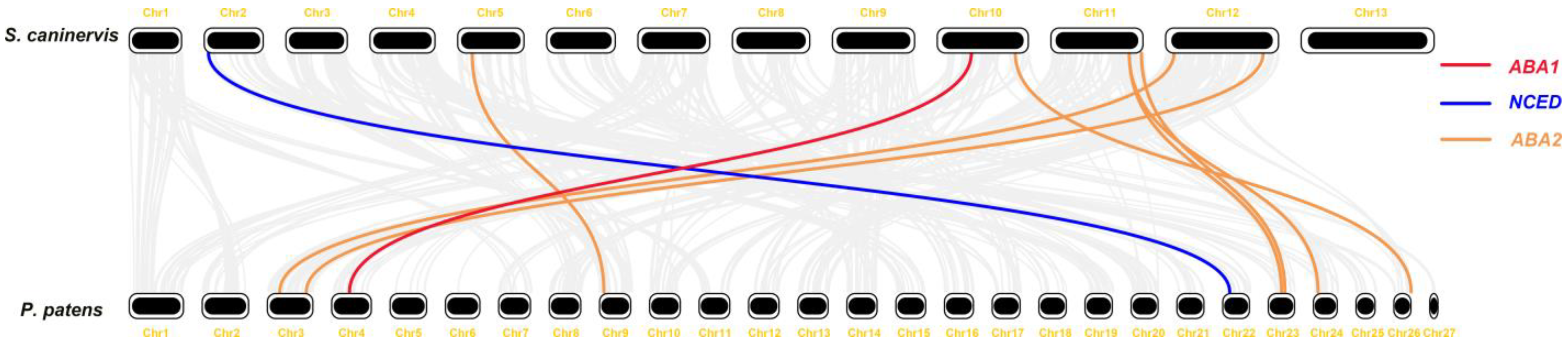 Plants 12 01114 g008 Plants 12 01114 g008