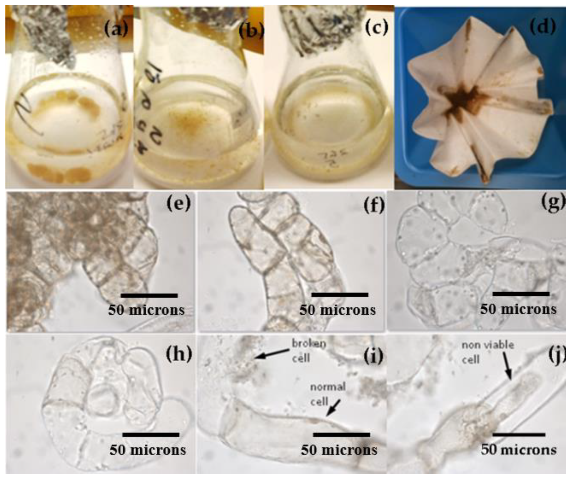 Plants 12 01116 g002
