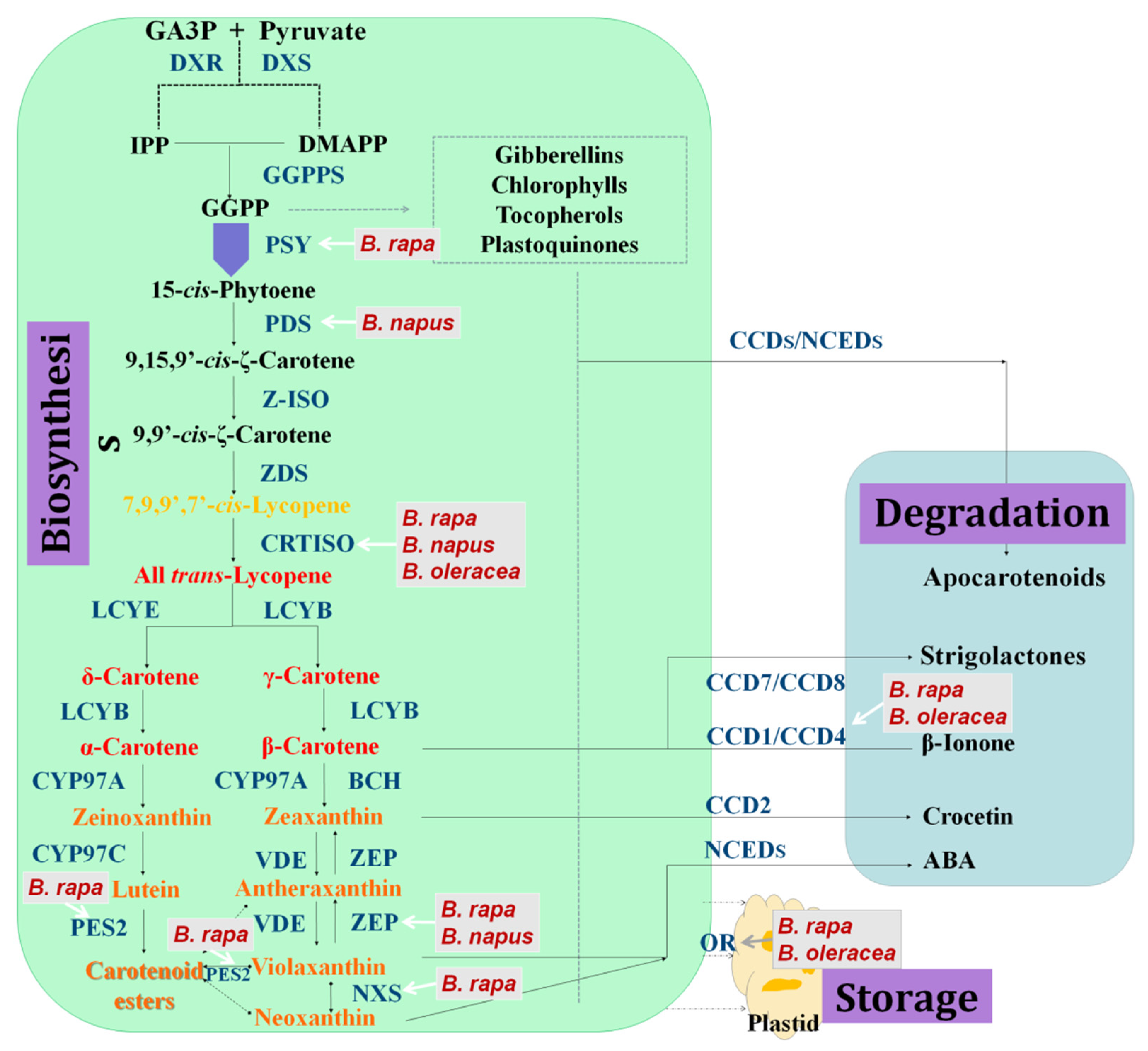 Plants 12 01117 g001 Plants 12 01117 g001