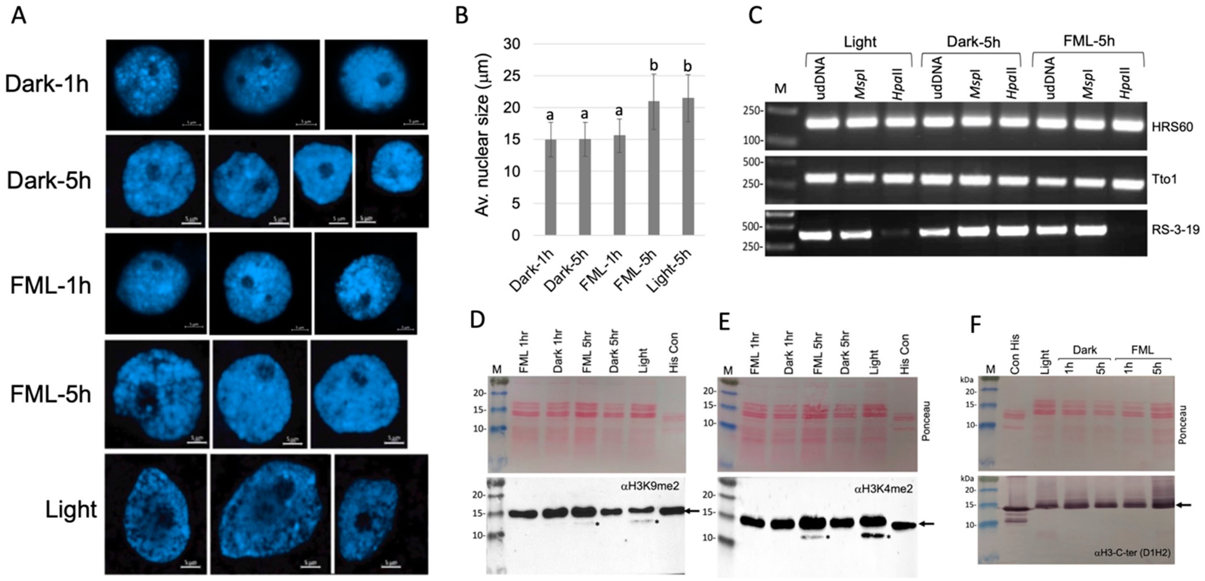 Plants 12 01121 g001 Plants 12 01121 g001