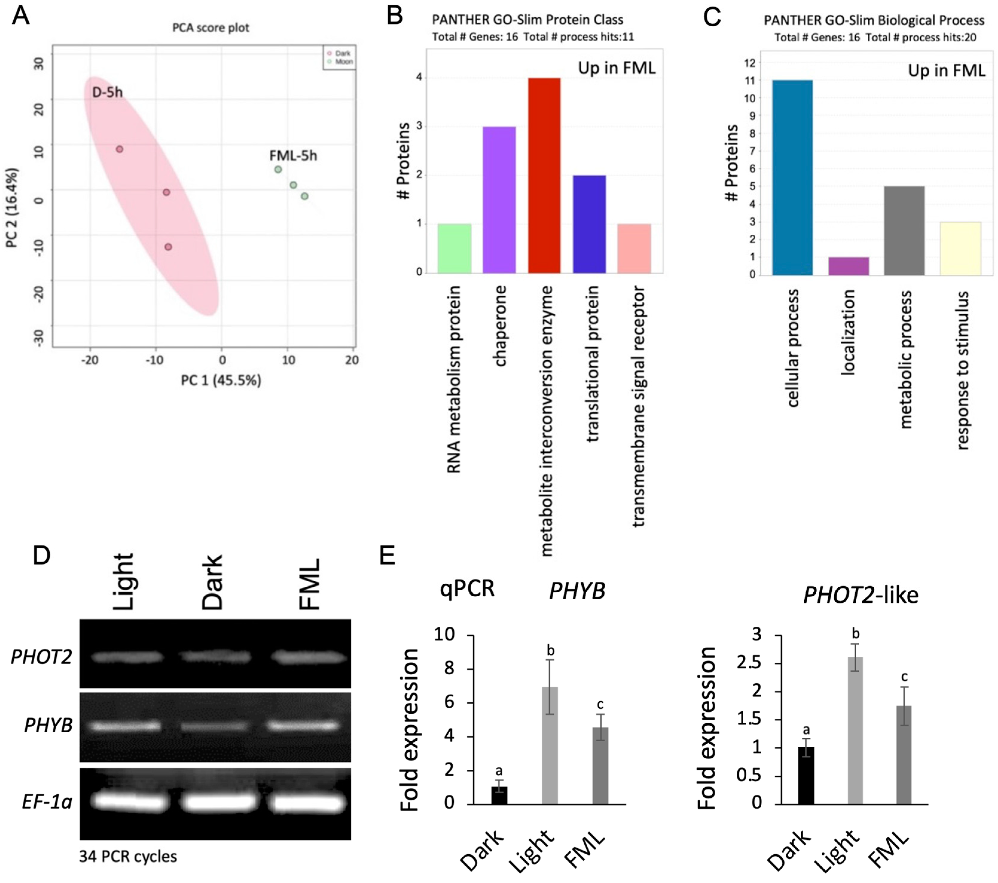 Plants 12 01121 g003 Plants 12 01121 g003