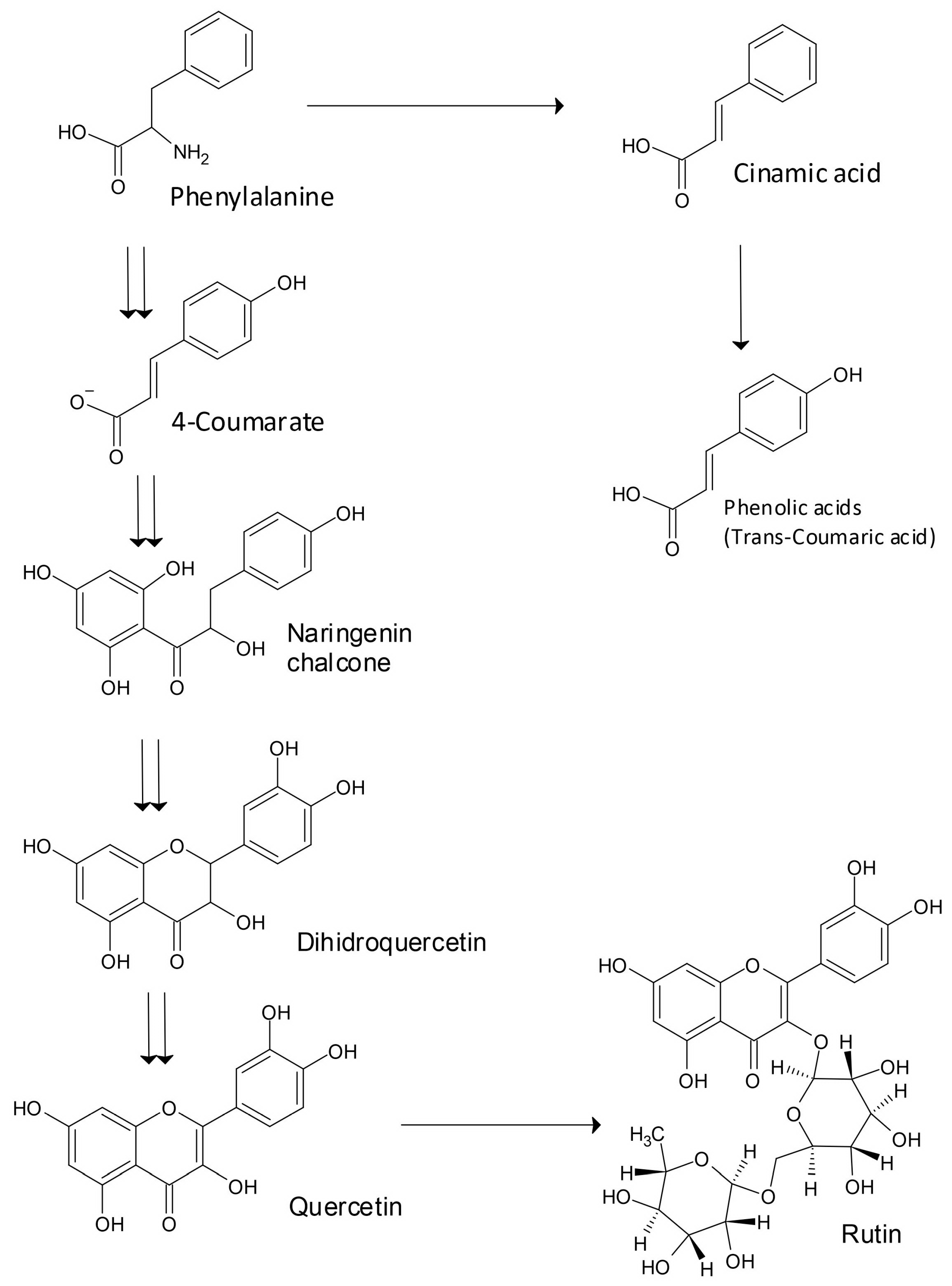 Plants 12 01122 g001