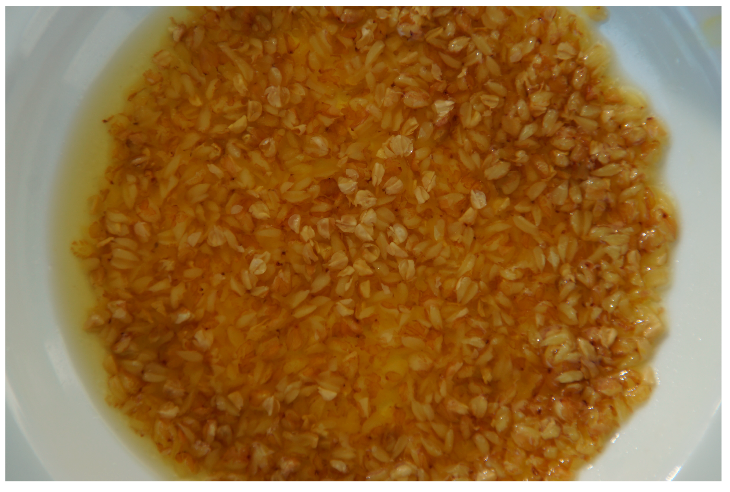 Plants 12 01122 g004