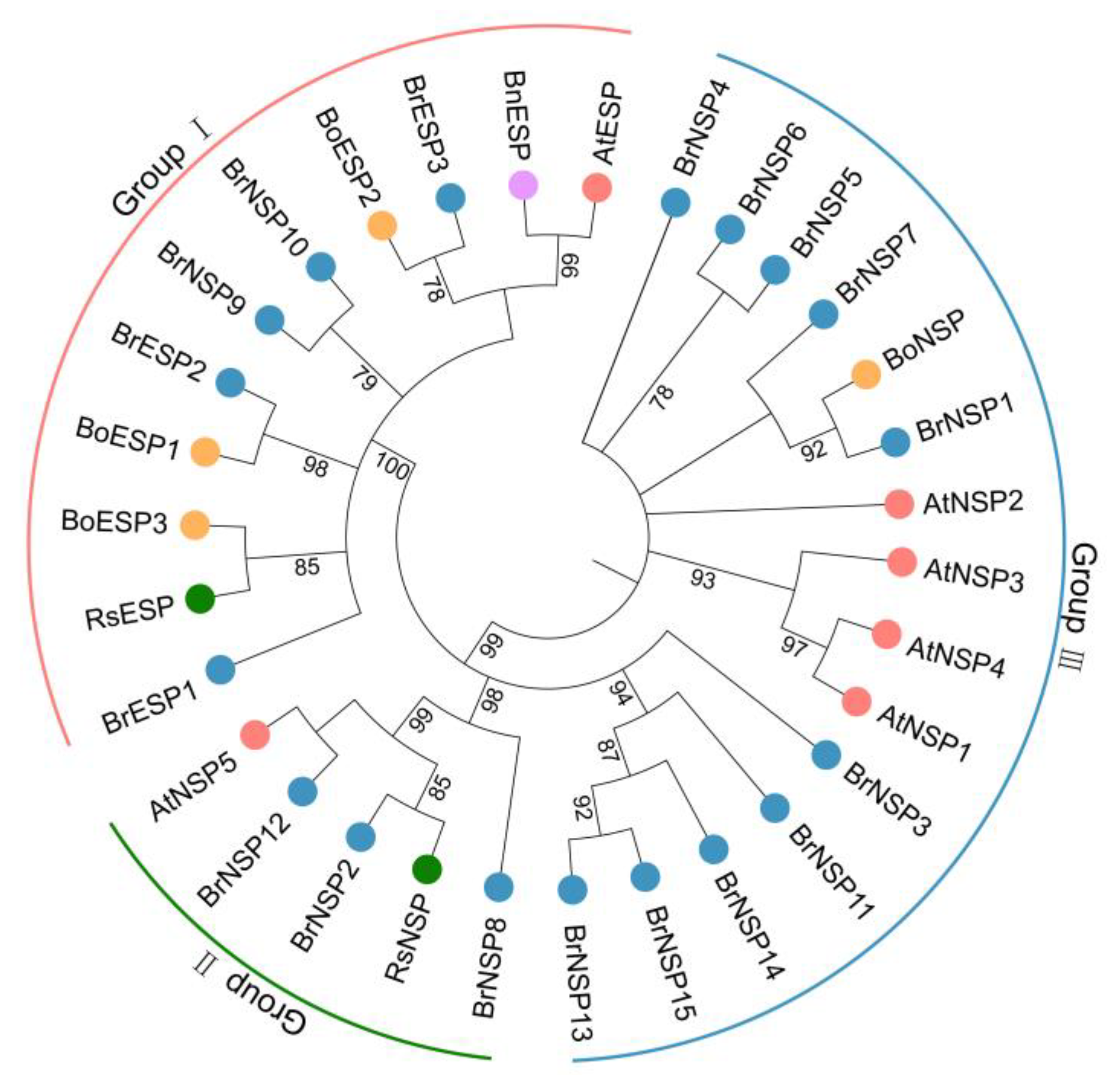 Plants 12 01123 g002
