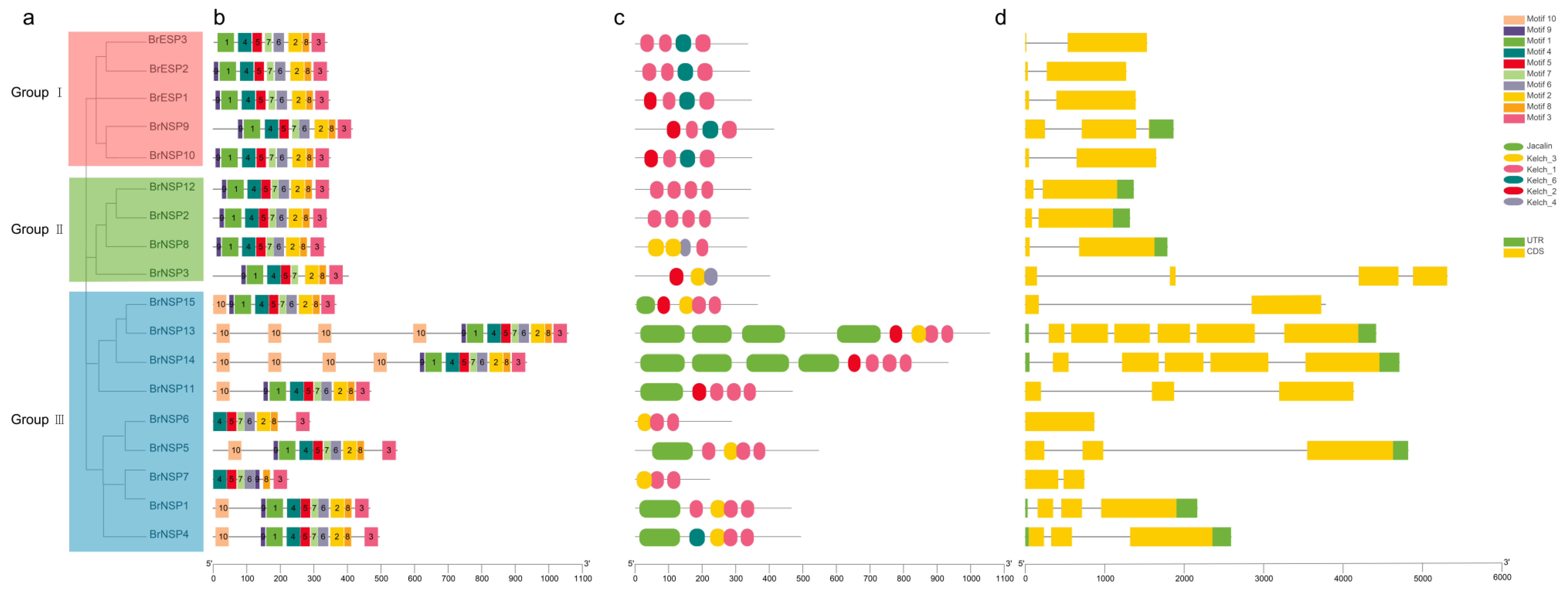 Plants 12 01123 g004