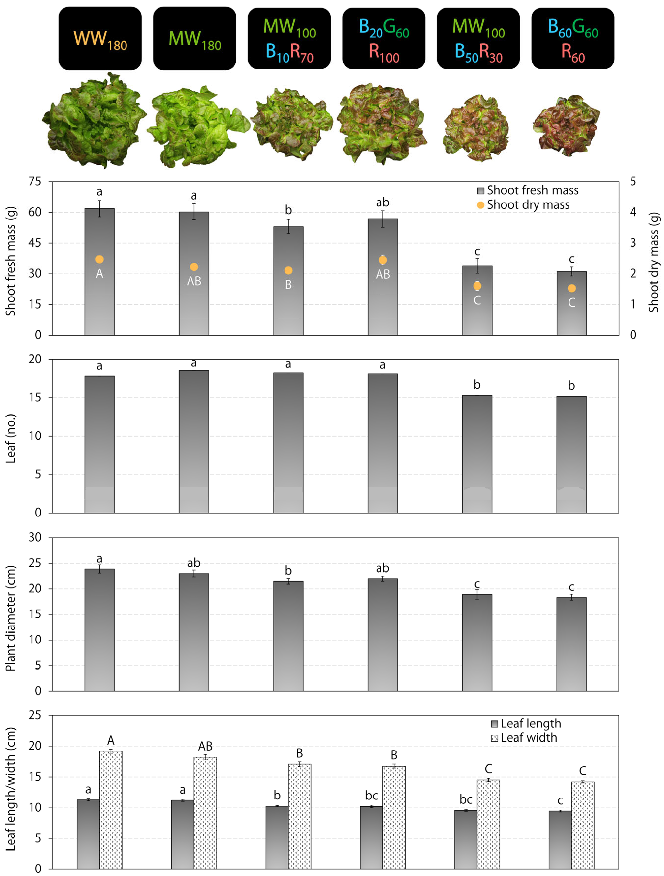 Plants 12 01127 g001