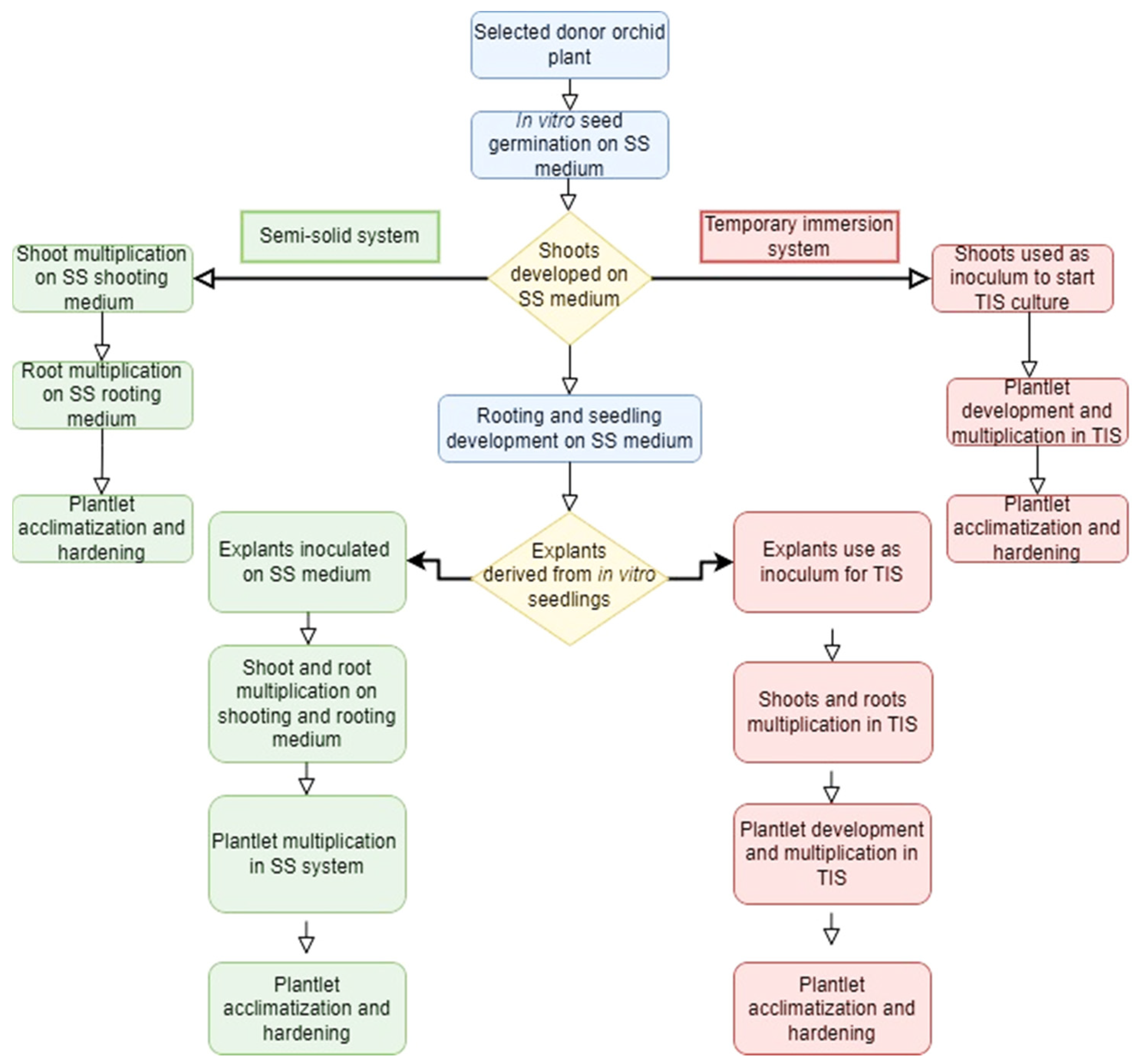 Plants 12 01136 g003 Plants 12 01136 g003