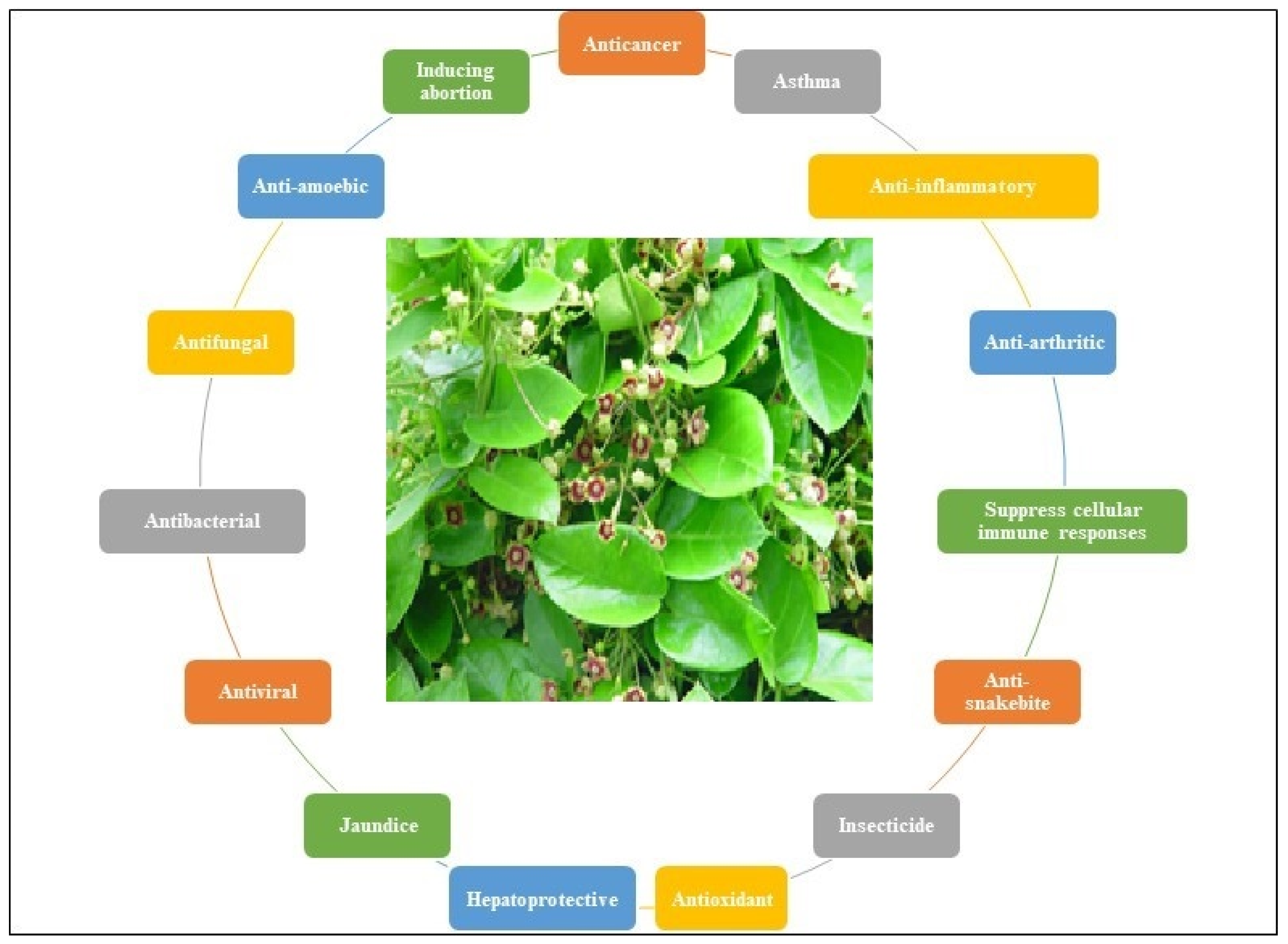 Plants 12 01143 g002 Plants 12 01143 g002