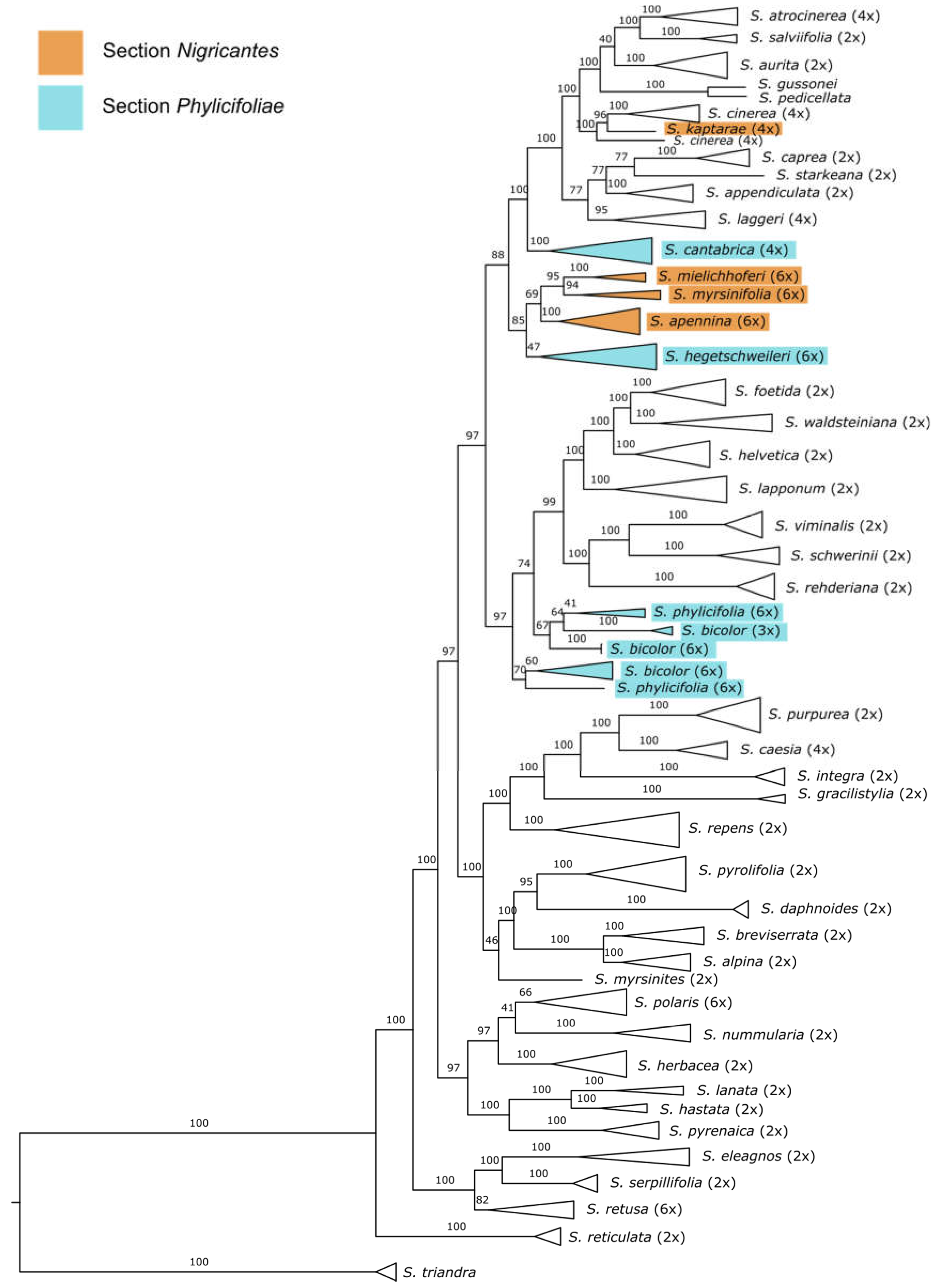Plants 12 01144 g002 Plants 12 01144 g002