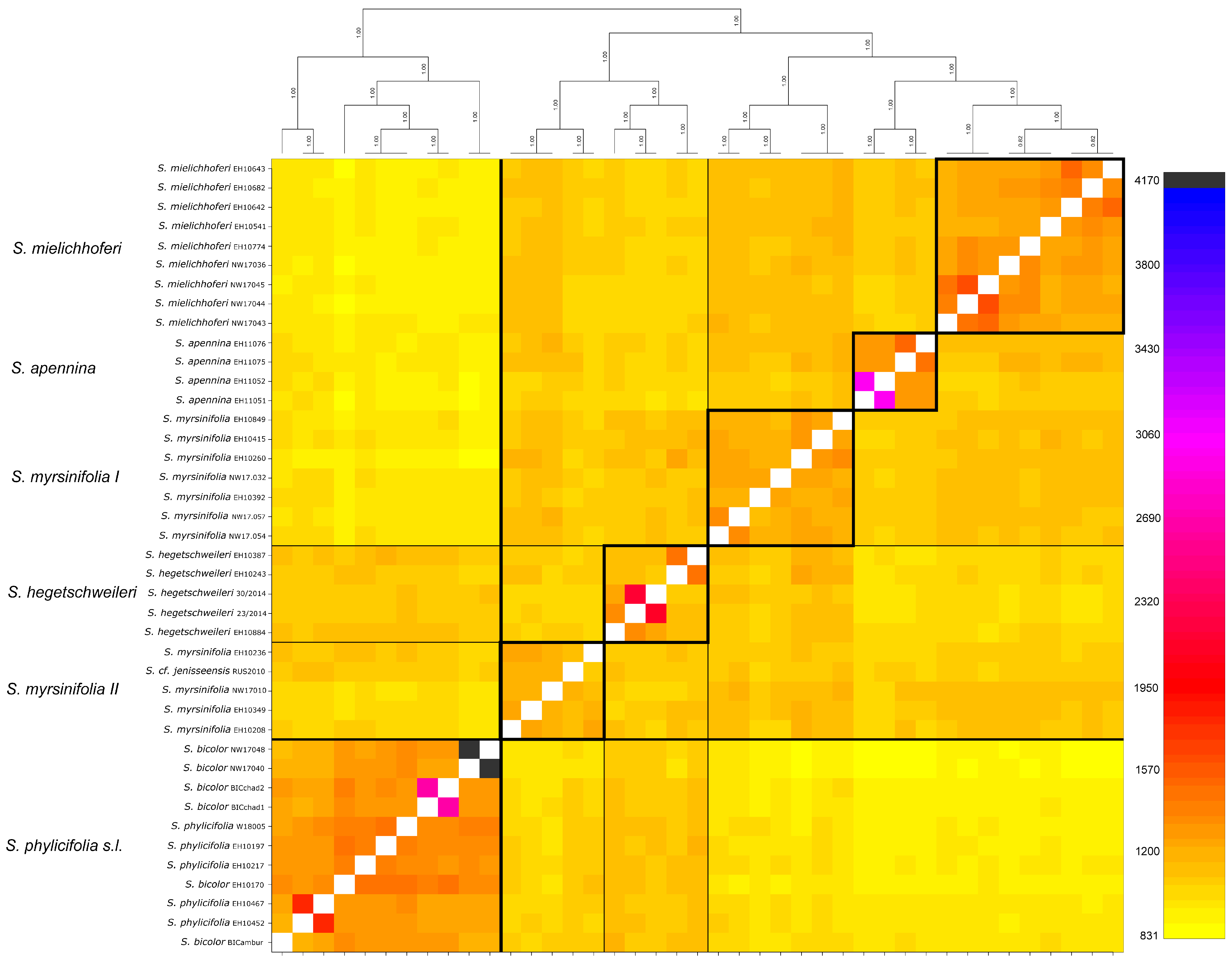 Plants 12 01144 g003 Plants 12 01144 g003