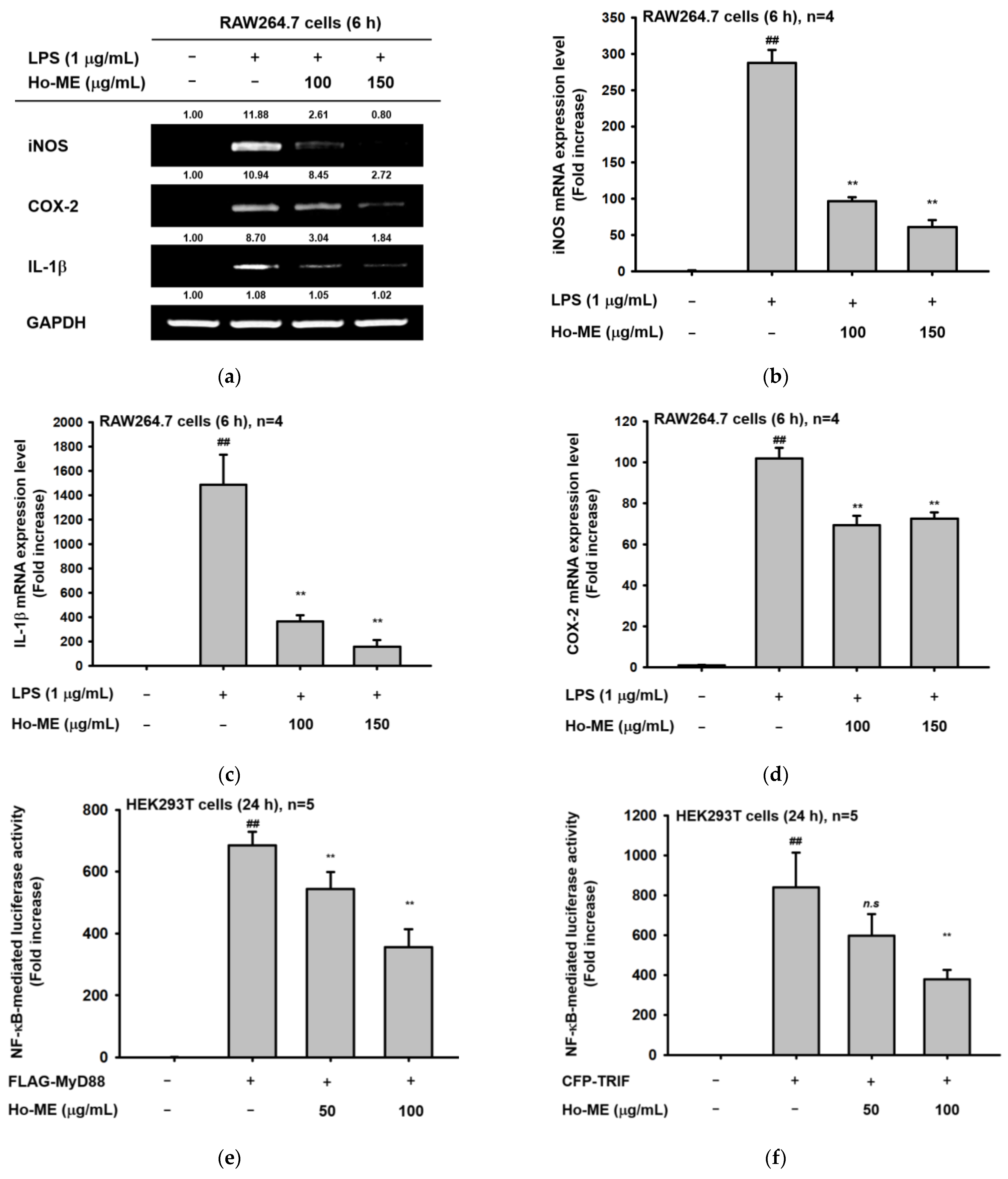 Plants 12 01146 g002a Plants 12 01146 g002a