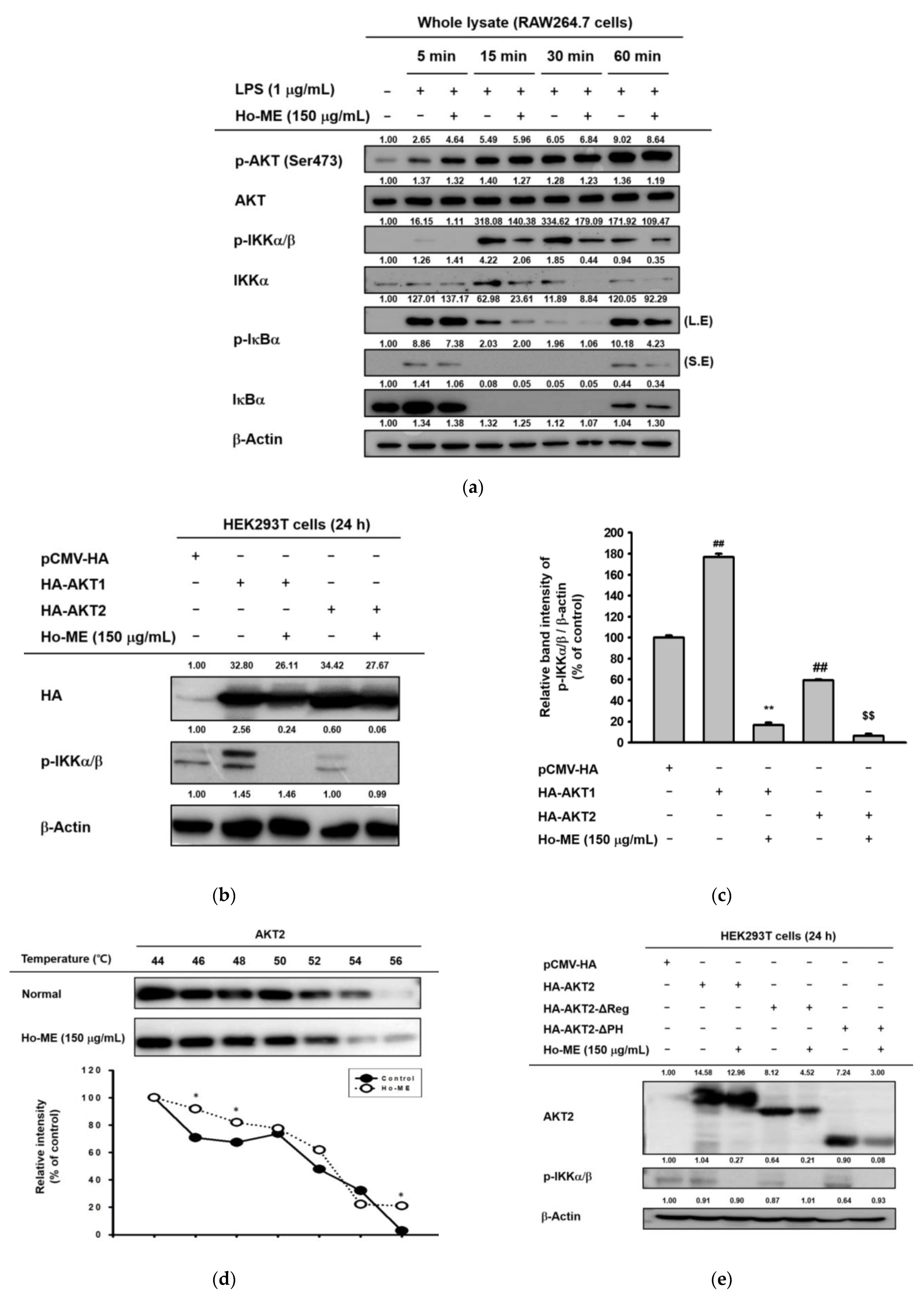 Plants 12 01146 g003a Plants 12 01146 g003a