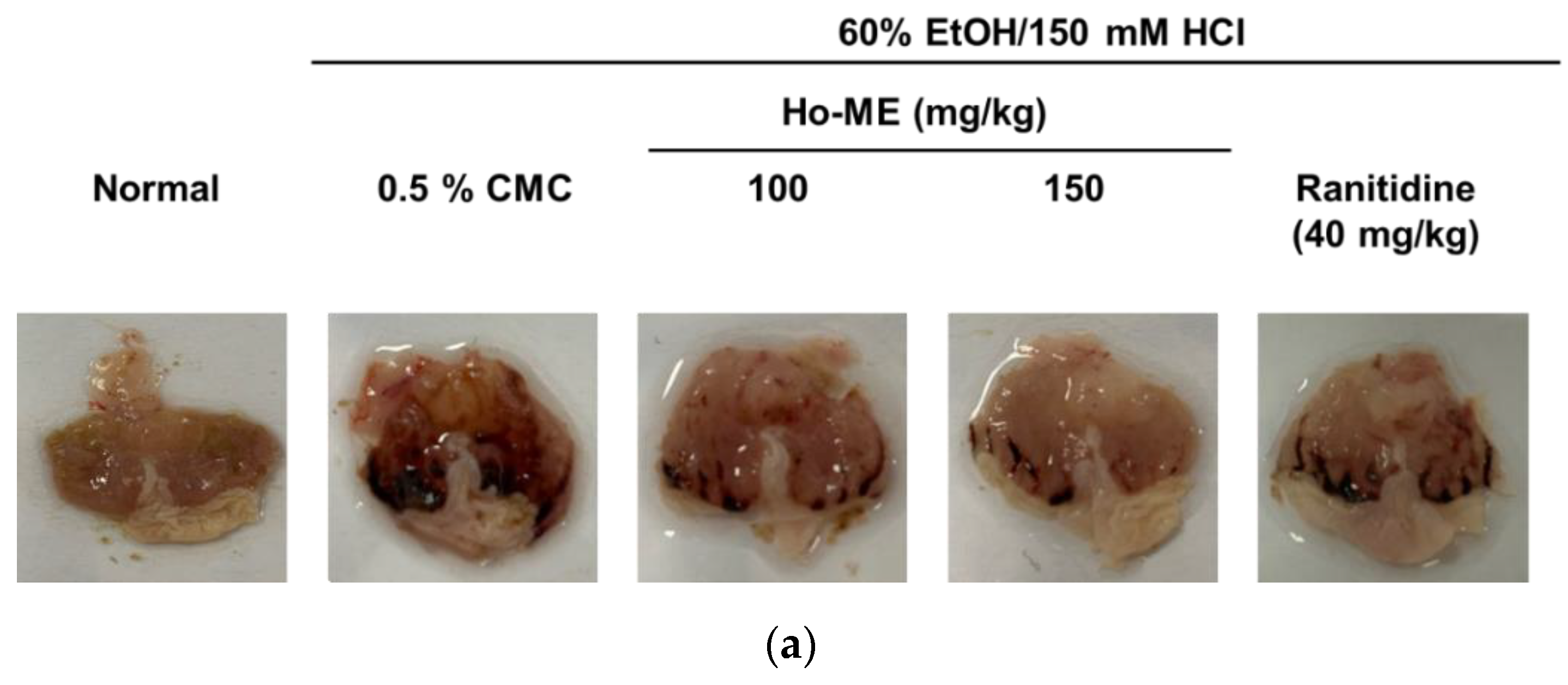 Plants 12 01146 g004a Plants 12 01146 g004a
