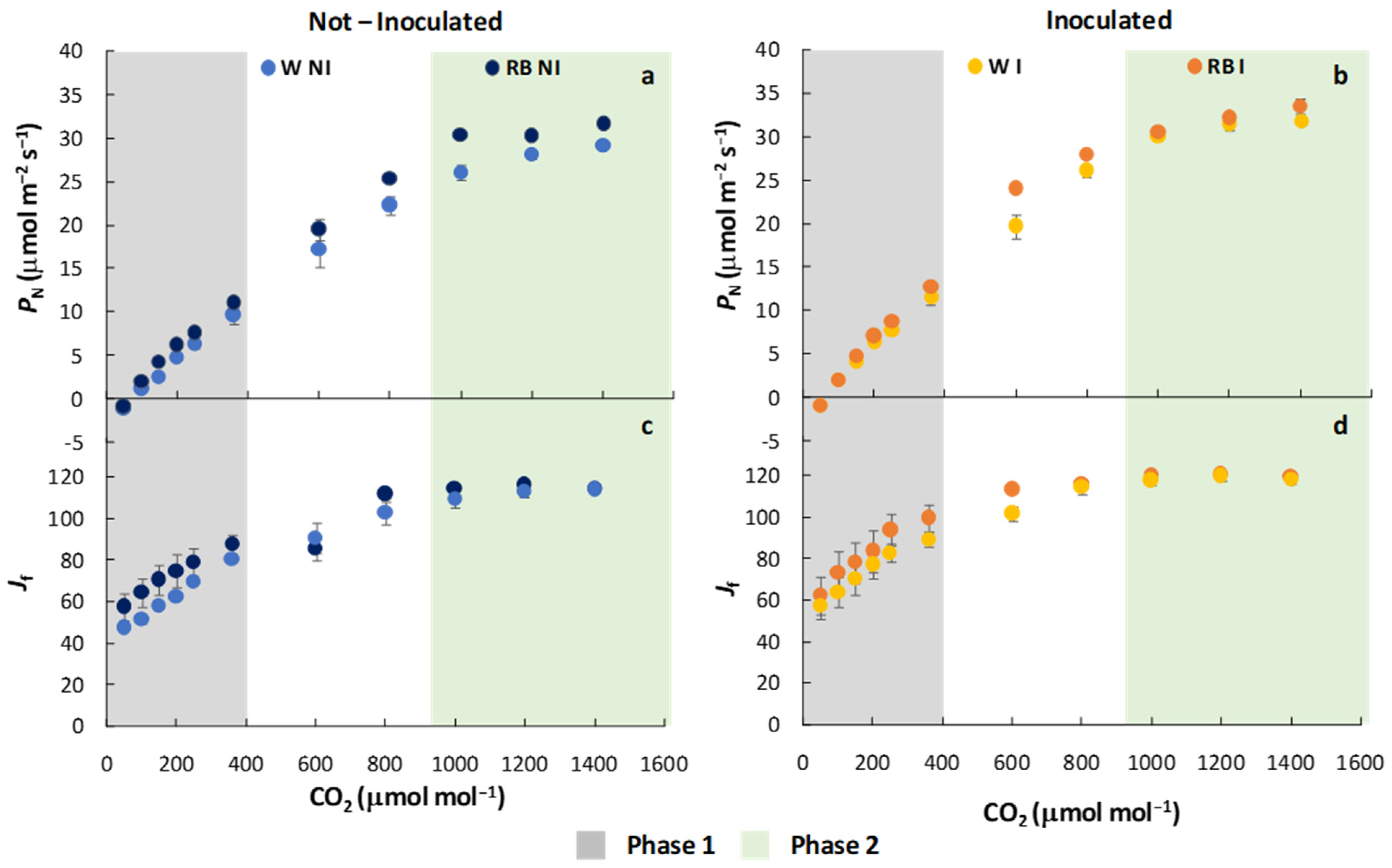 Plants 12 01149 g004 Plants 12 01149 g004