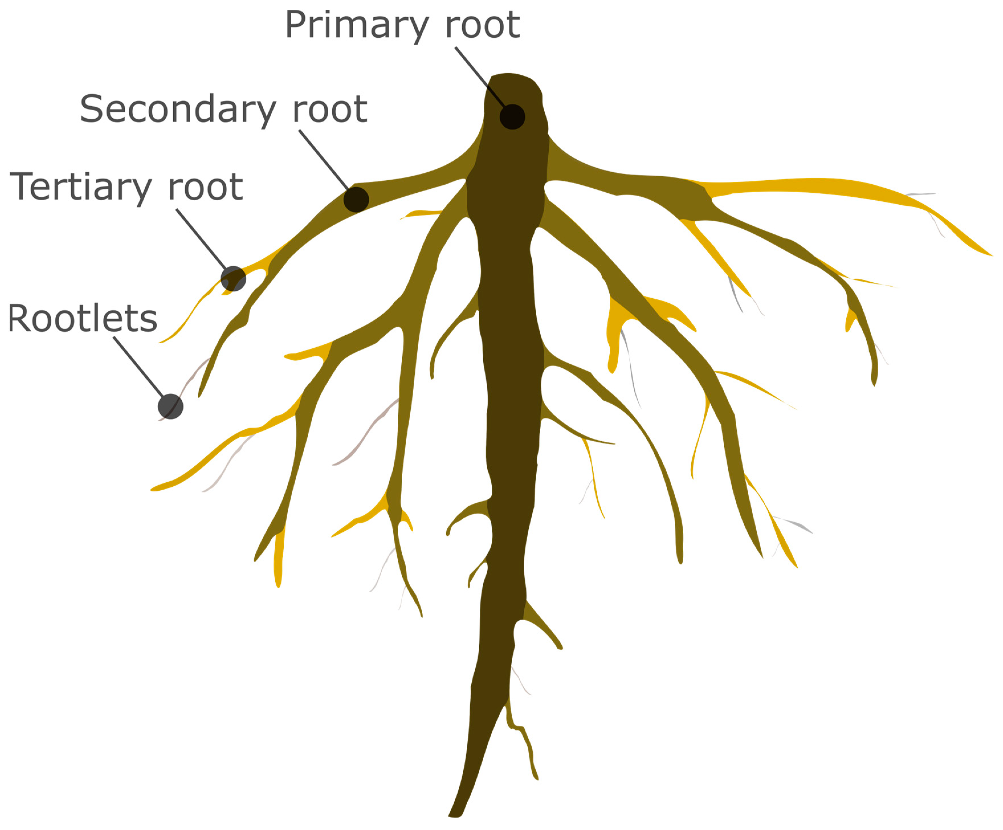 Plants 12 01180 g0a1