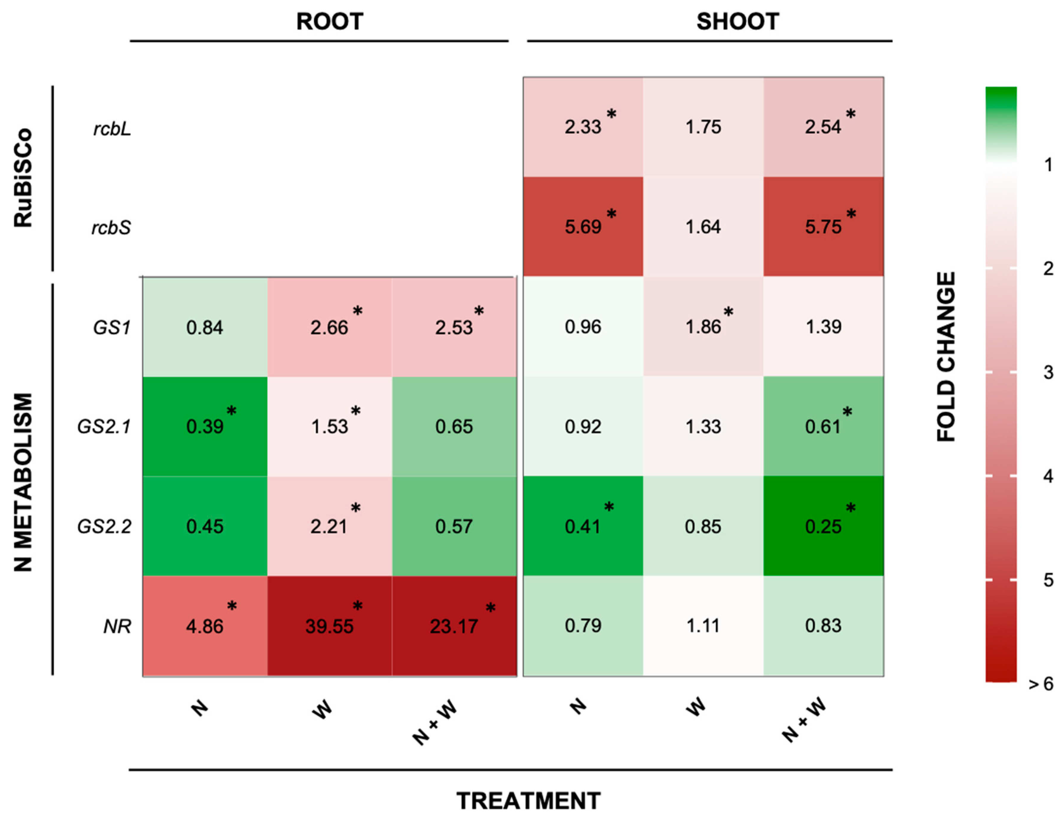 Plants 12 01181 g007 Plants 12 01181 g007