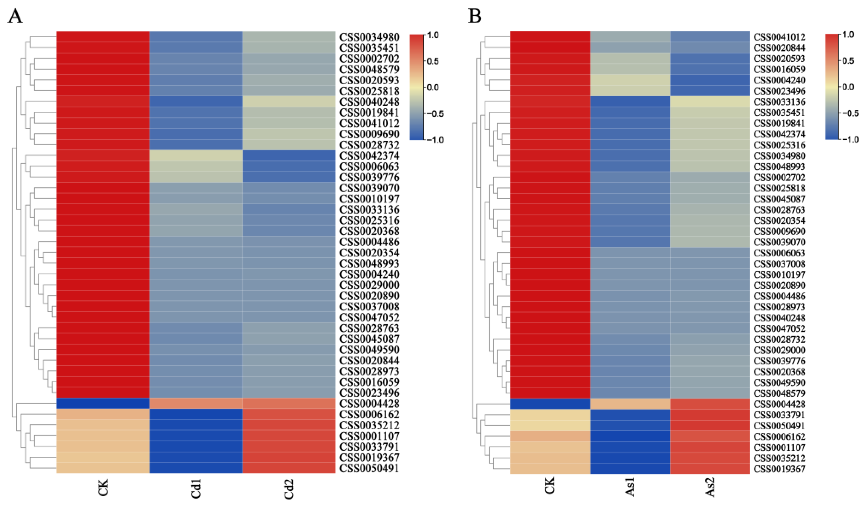 Plants 12 01182 g006