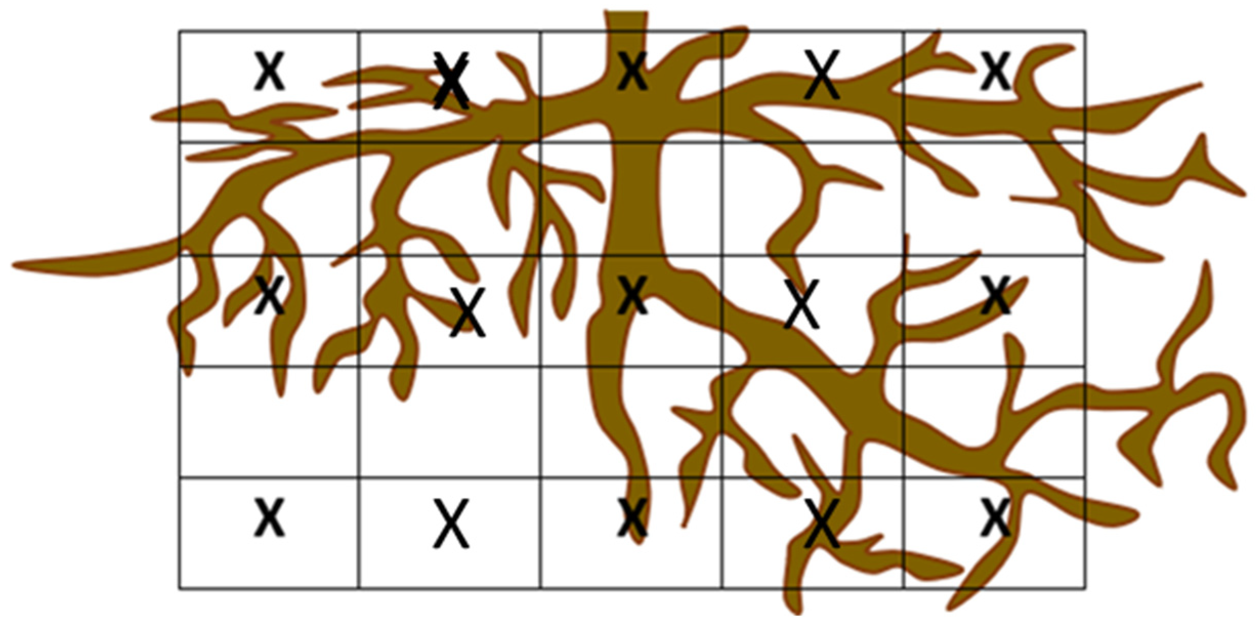 Plants 12 01189 g006