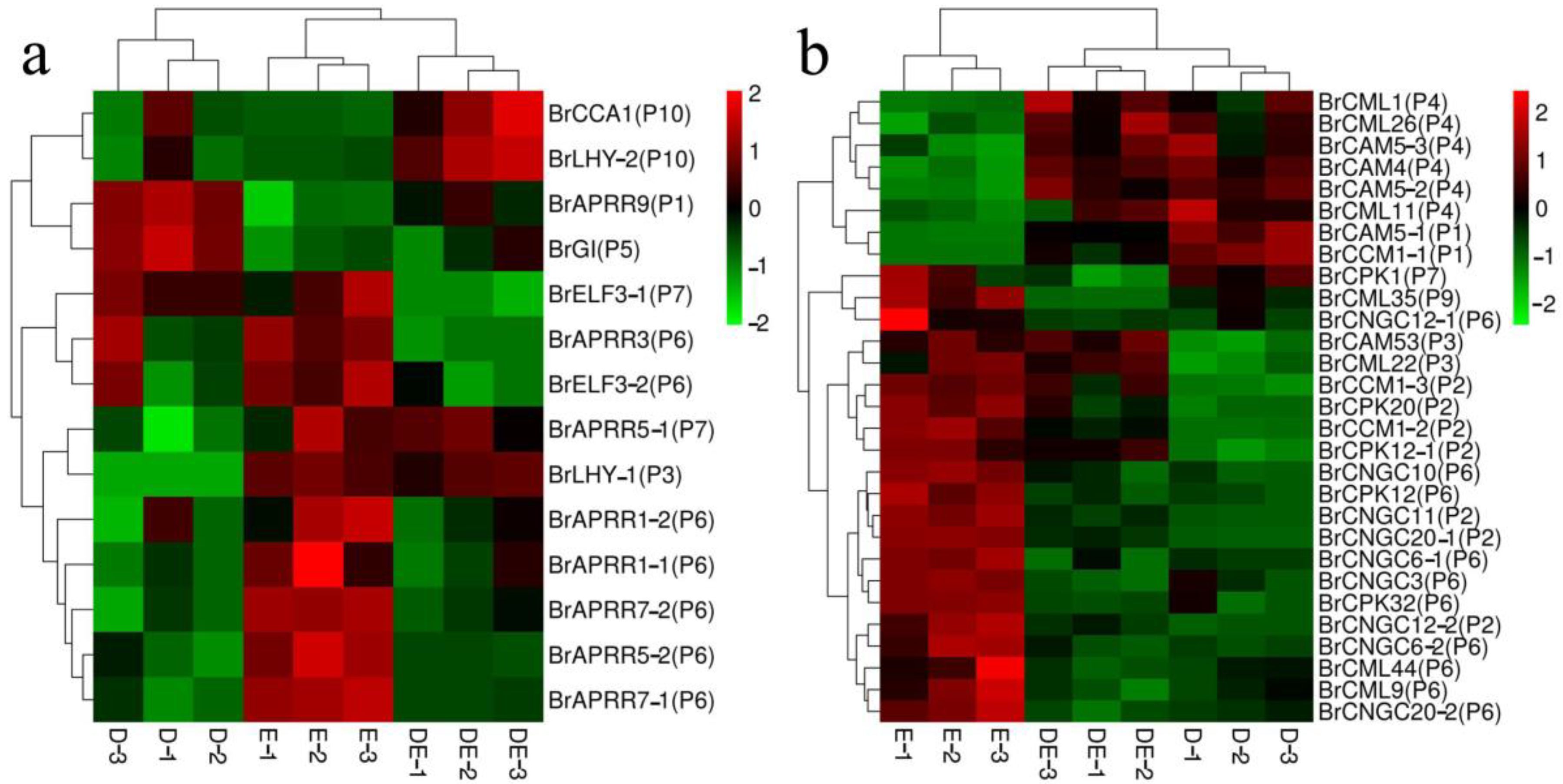 Plants 12 01195 g005 Plants 12 01195 g005