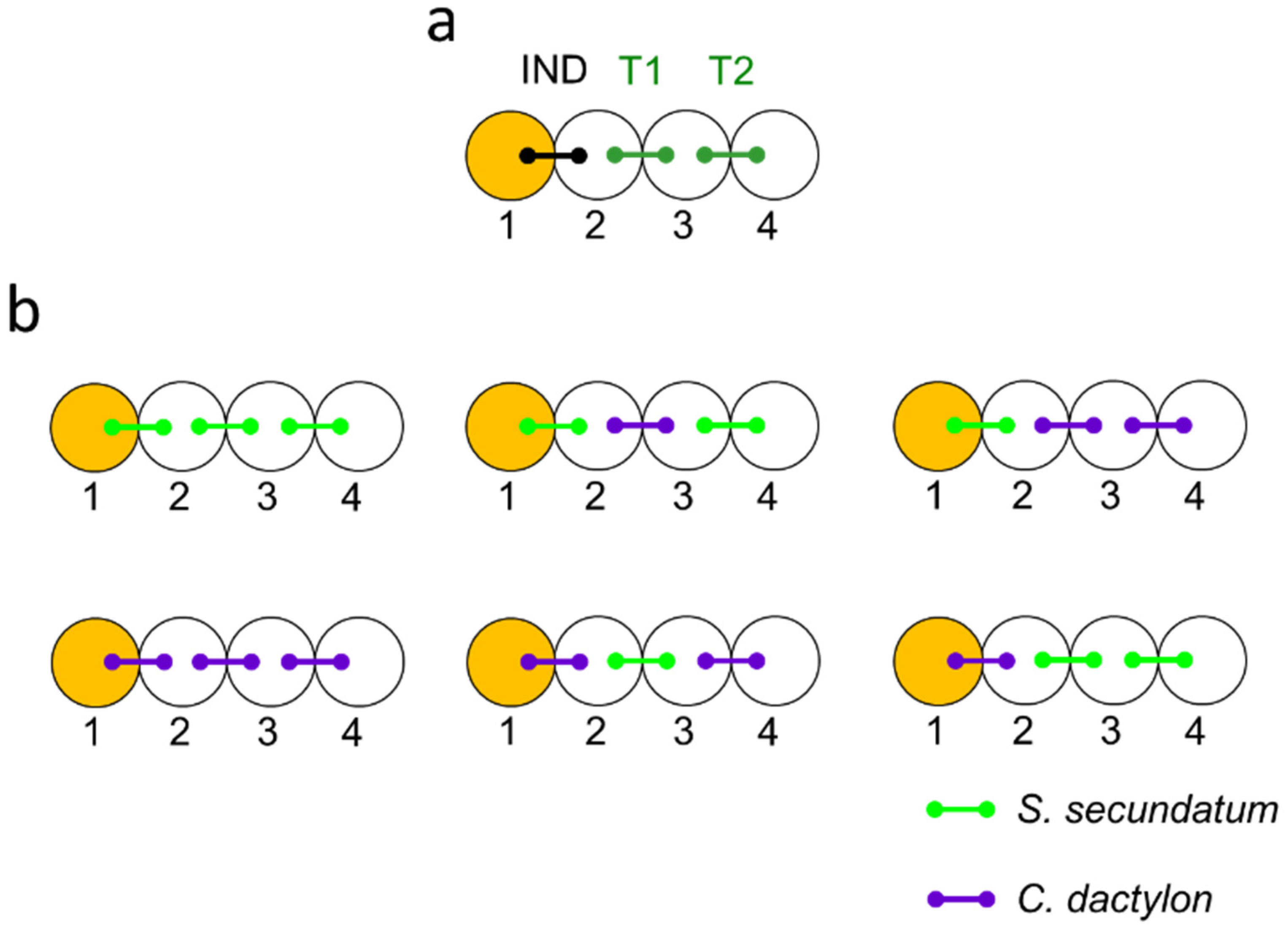 Plants 12 01200 g001