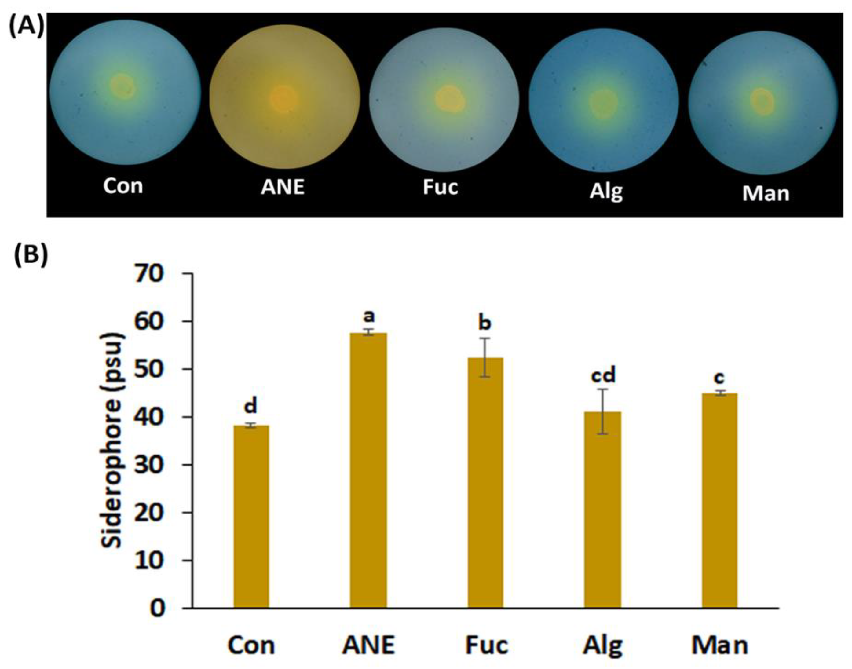 Plants 12 01208 g001