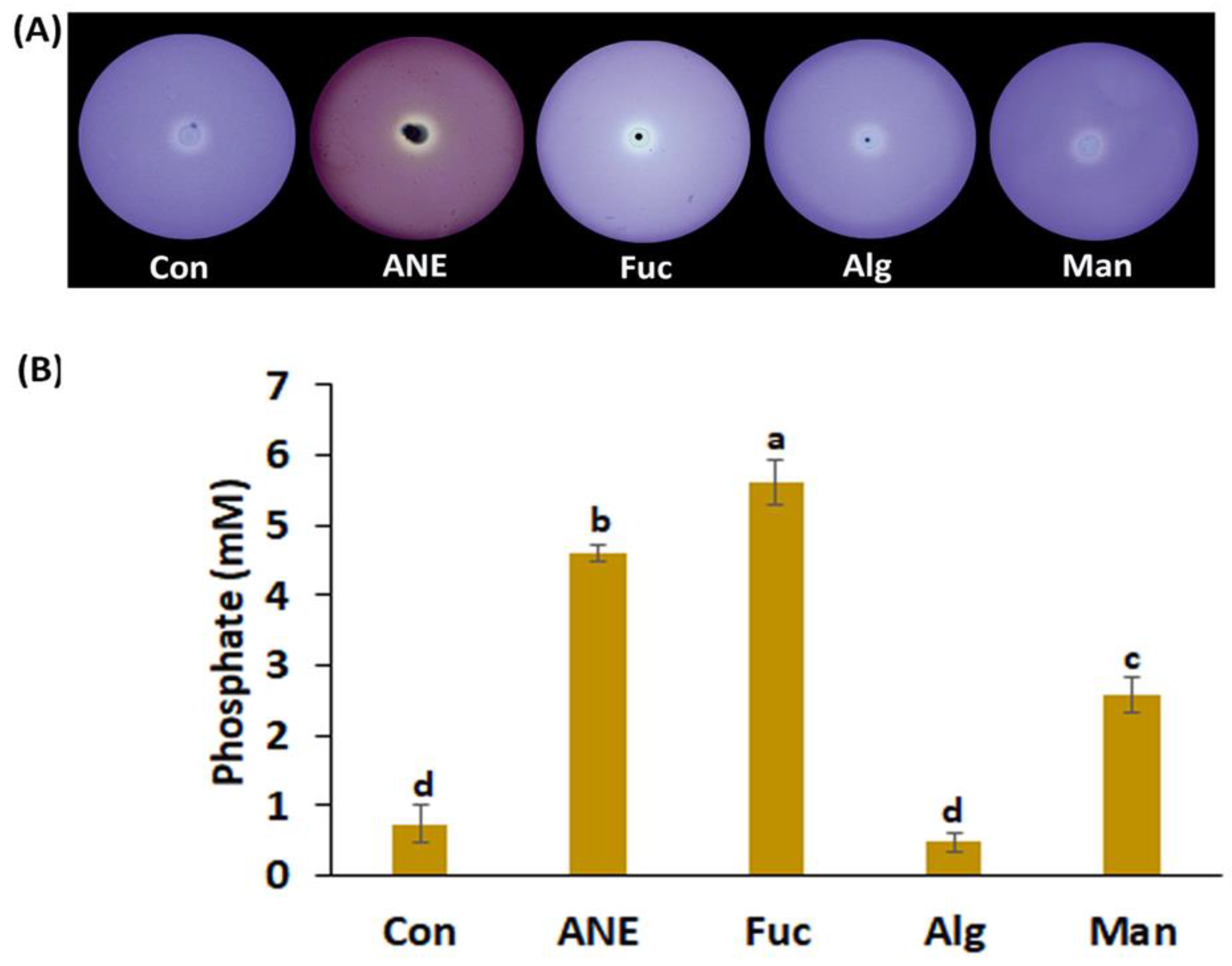 Plants 12 01208 g002
