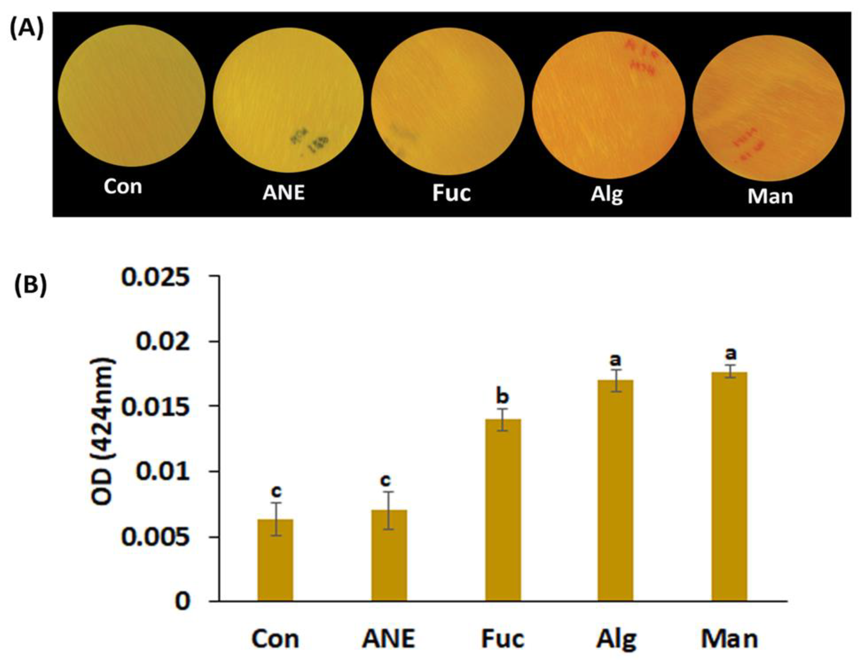 Plants 12 01208 g003