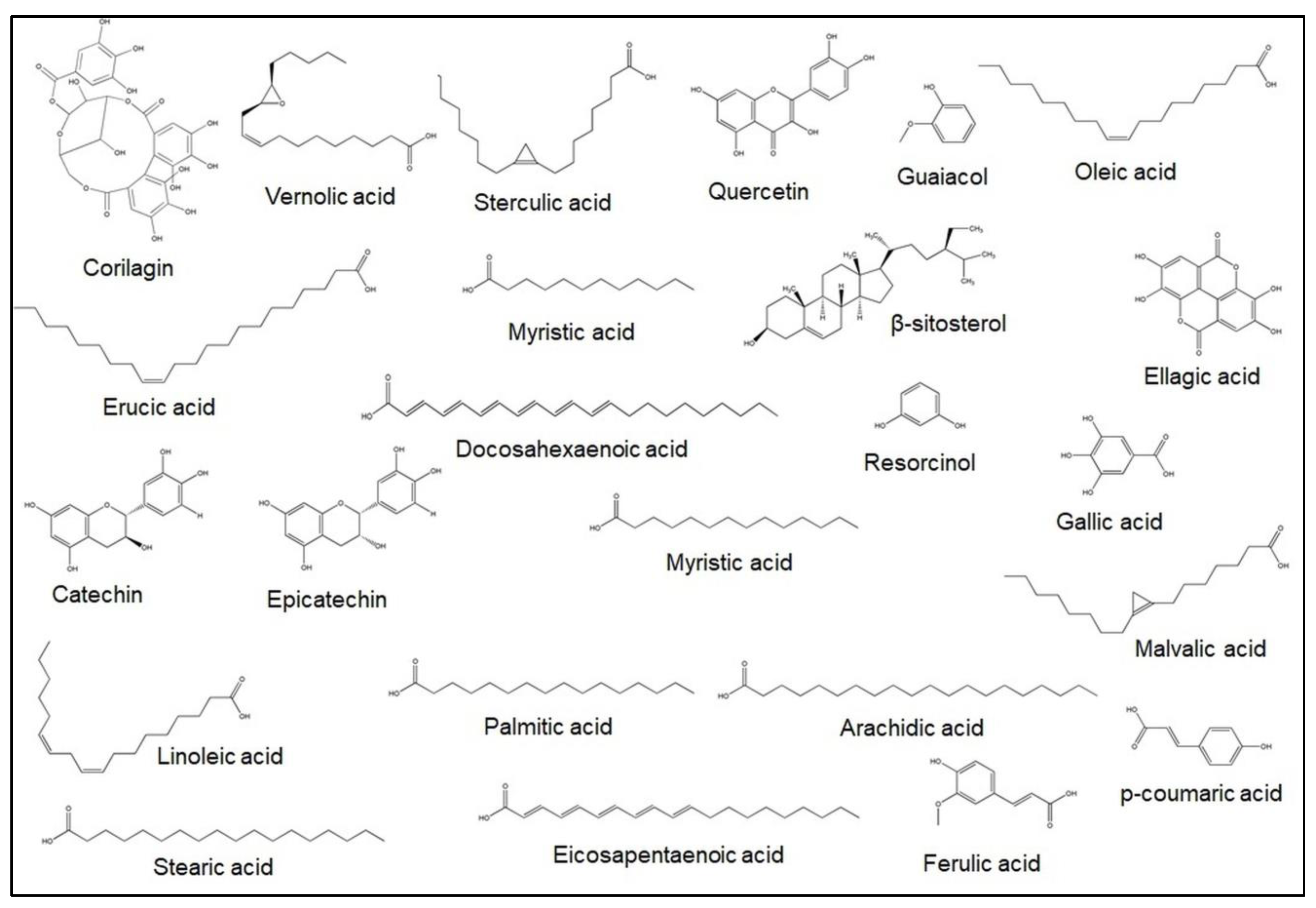 Plants 12 01214 g003