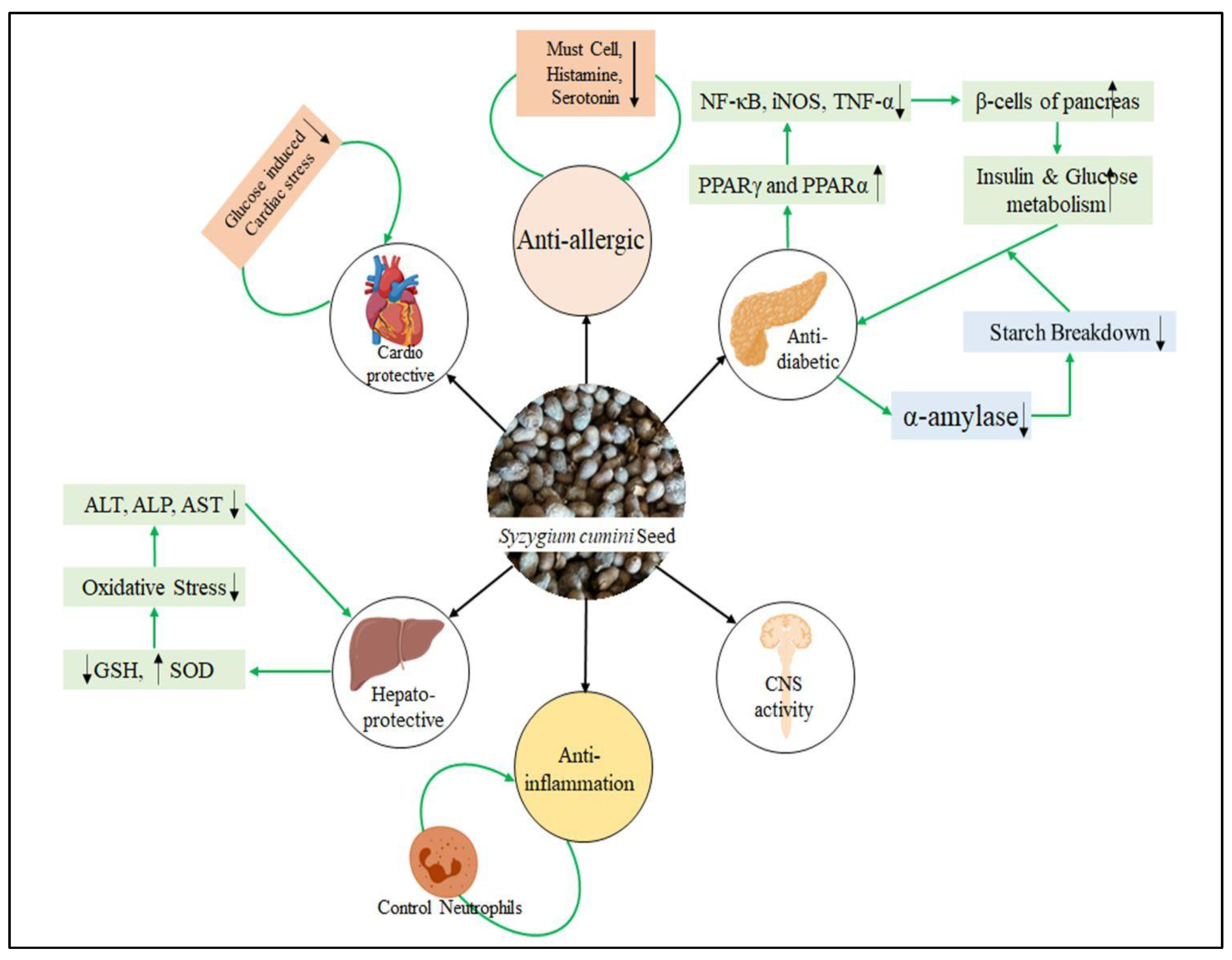 Plants 12 01214 g004