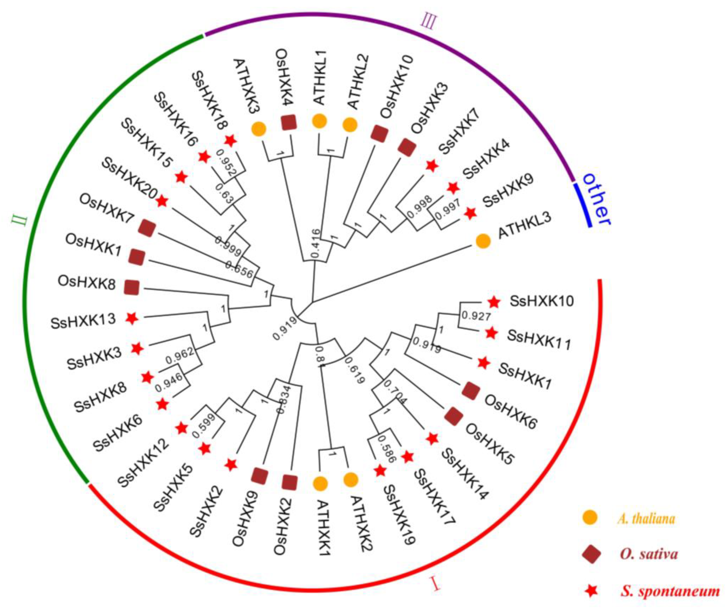 Plants 12 01215 g002 Plants 12 01215 g002
