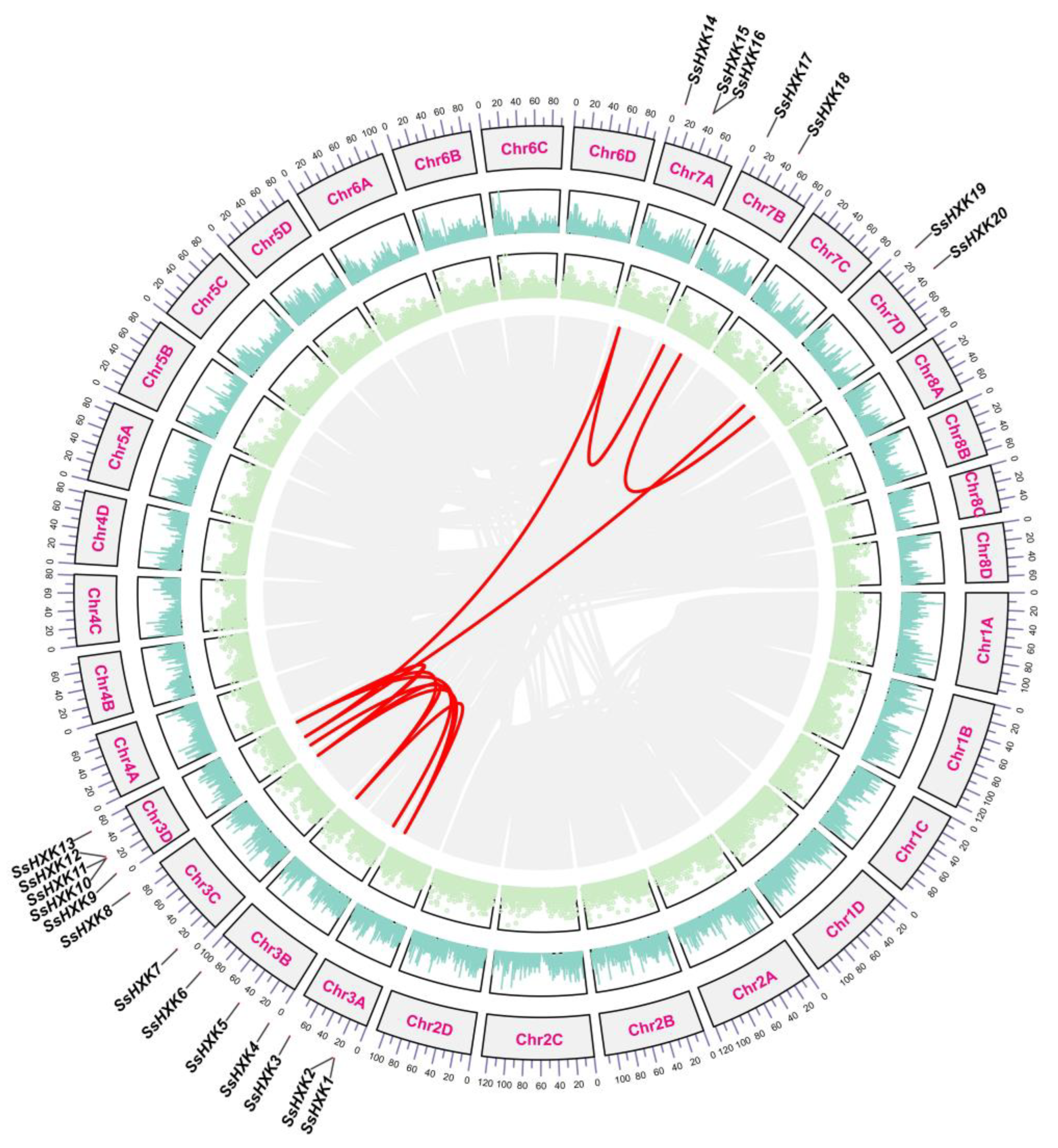 Plants 12 01215 g003 Plants 12 01215 g003