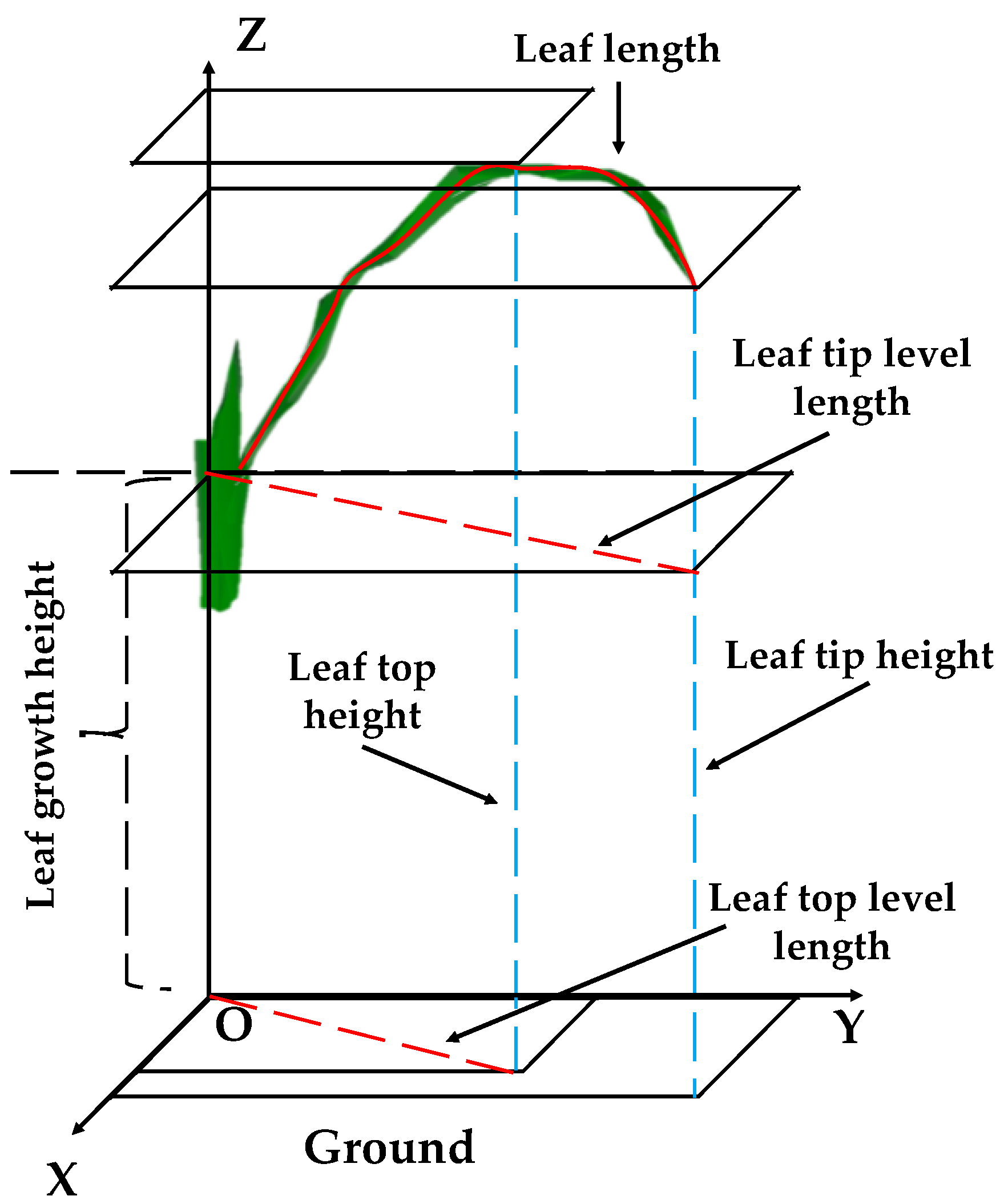 Plants 12 01229 g002