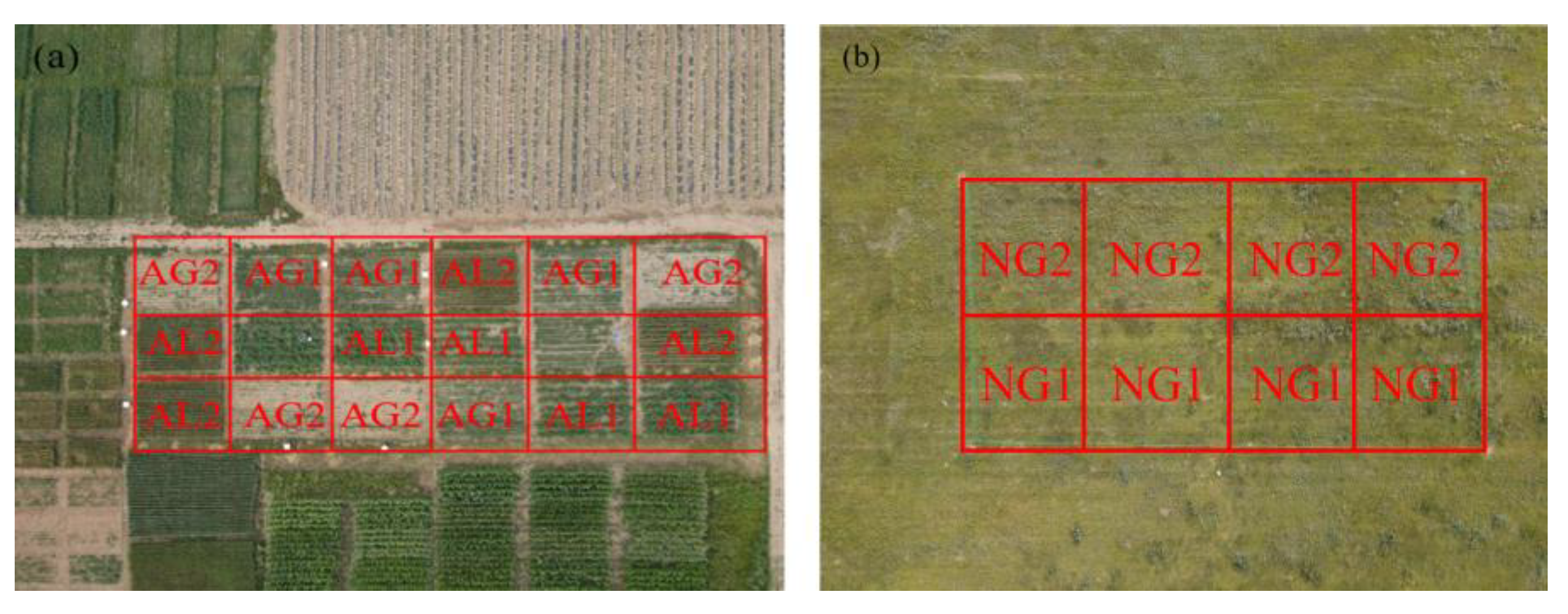 Plants 12 01239 g007 Plants 12 01239 g007