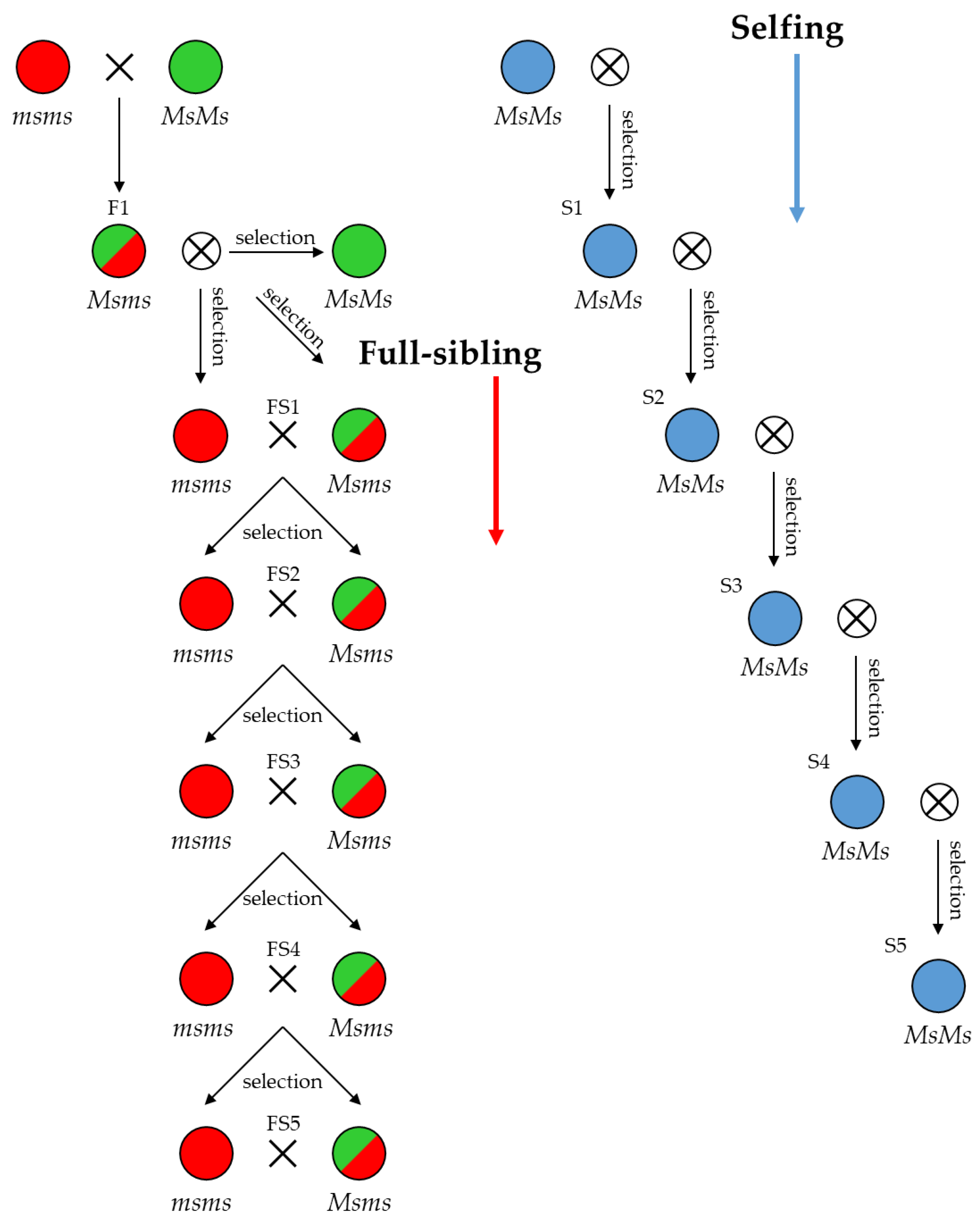 Plants 12 01242 g002 Plants 12 01242 g002