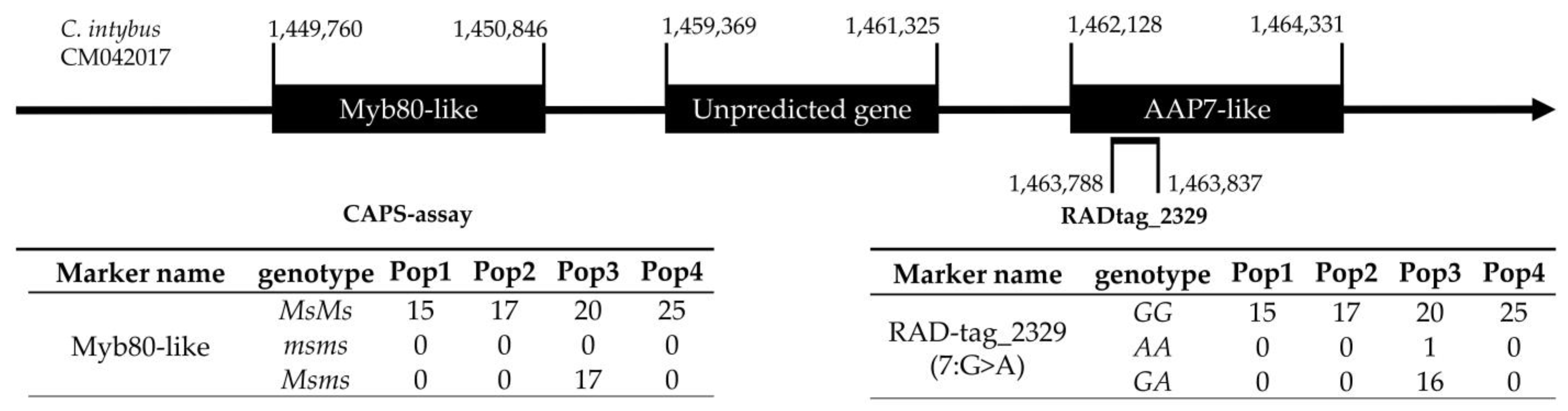 Plants 12 01242 g009 Plants 12 01242 g009
