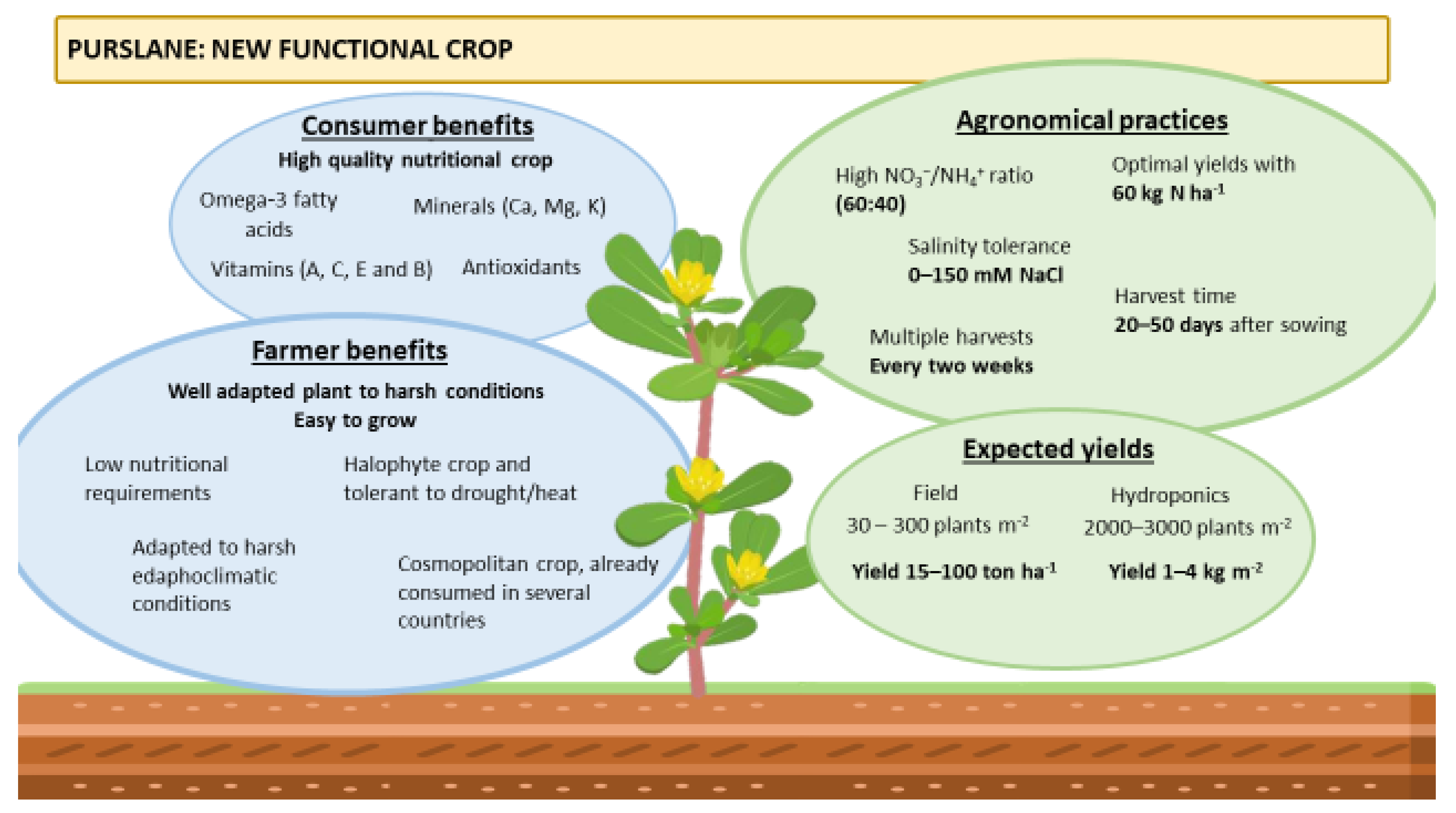 Plants 12 01246 g001 Plants 12 01246 g001