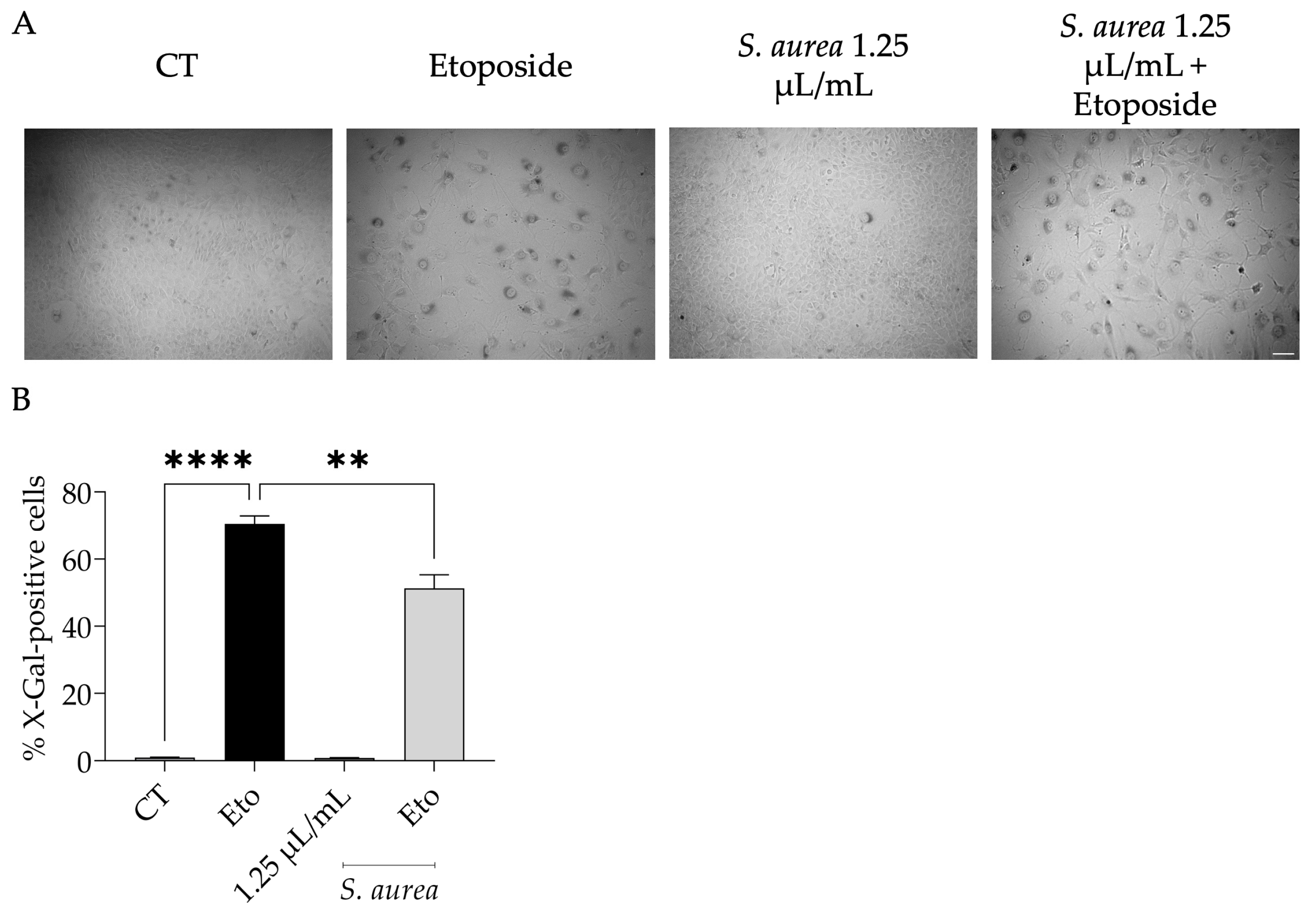 Plants 12 01247 g004 Plants 12 01247 g004