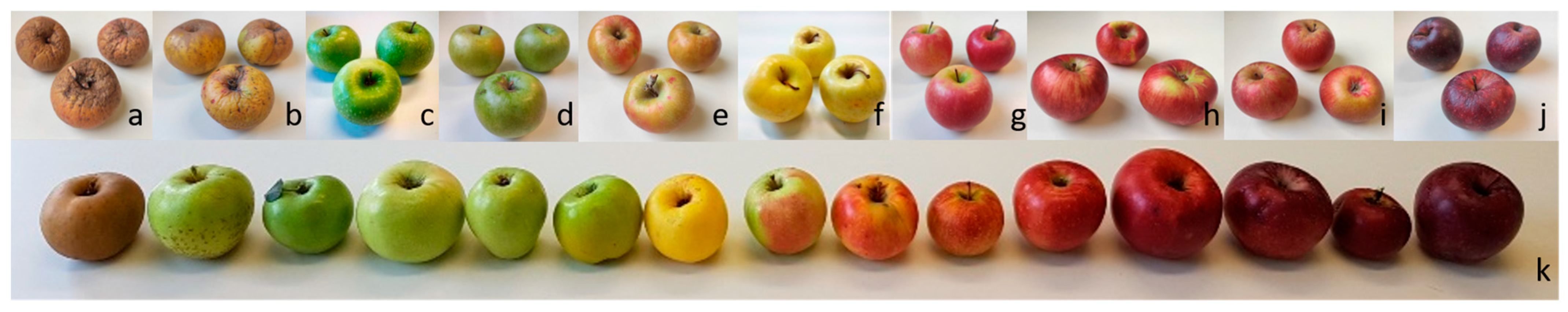 Plants 12 01249 g001 Plants 12 01249 g001