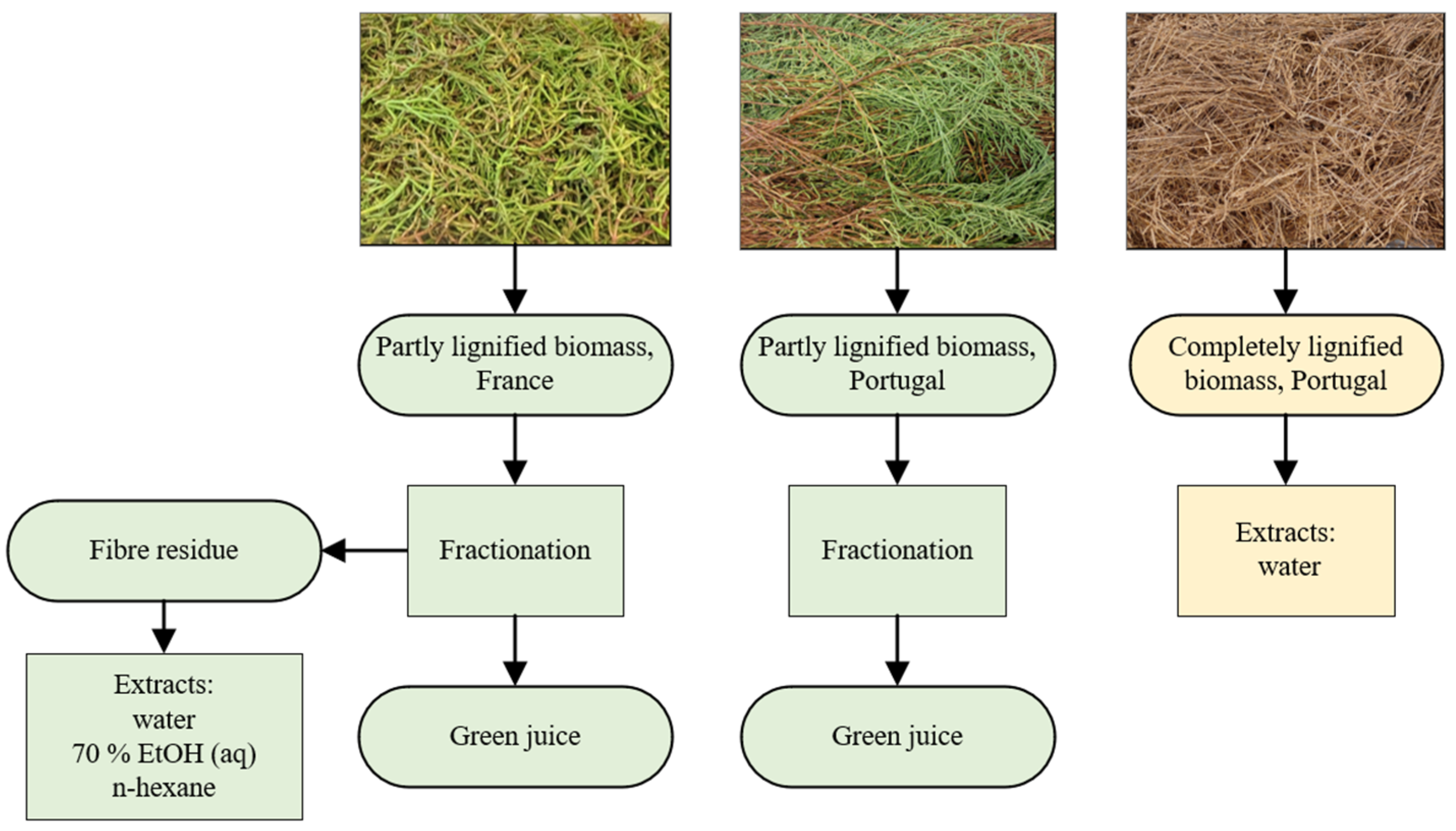 Plants 12 01251 g001