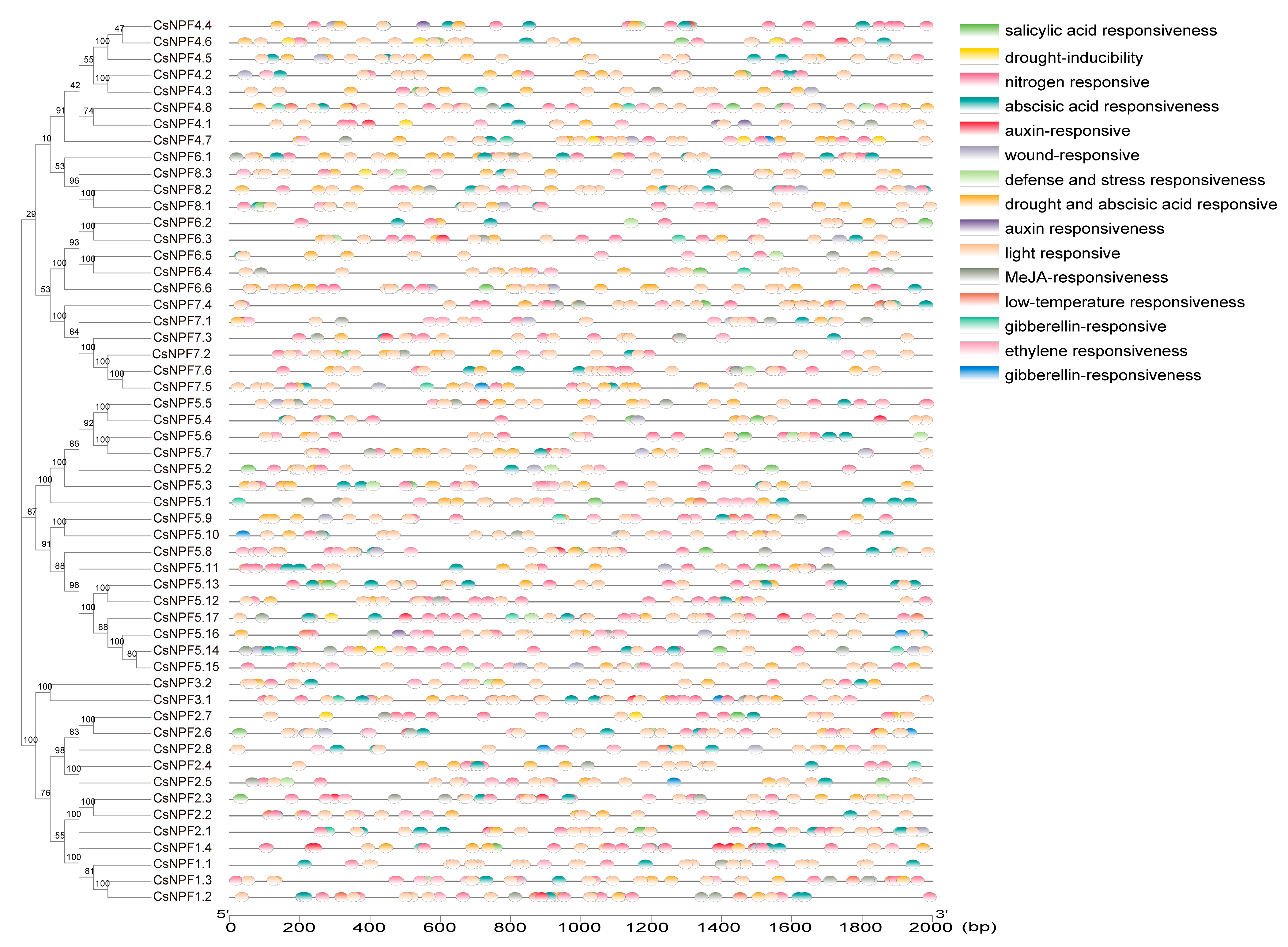 Plants 12 01252 g004 Plants 12 01252 g004