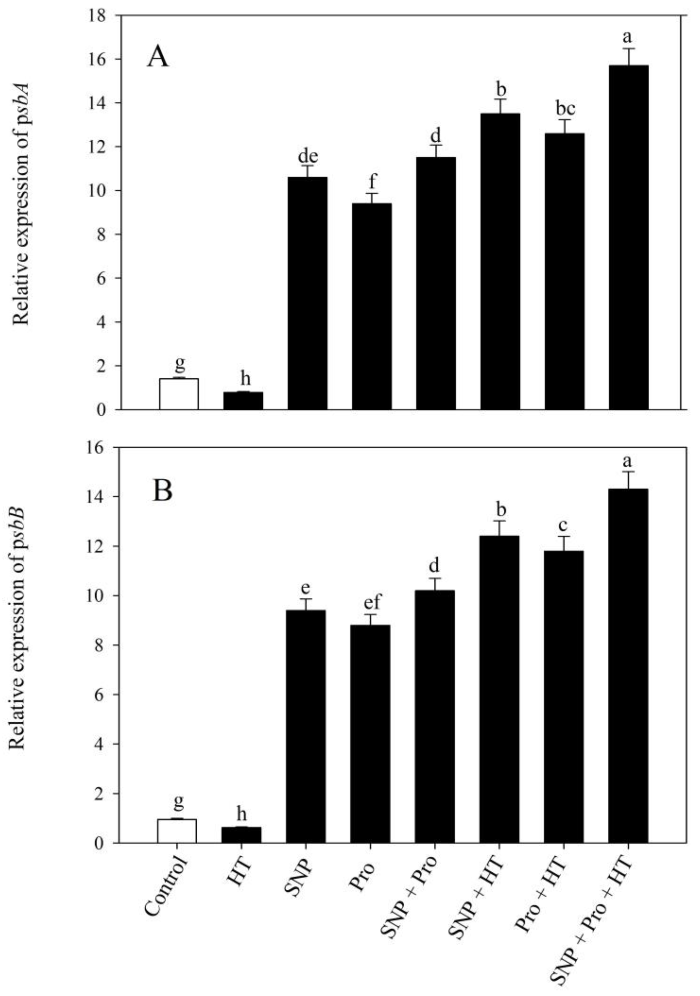 Plants 12 01256 g007