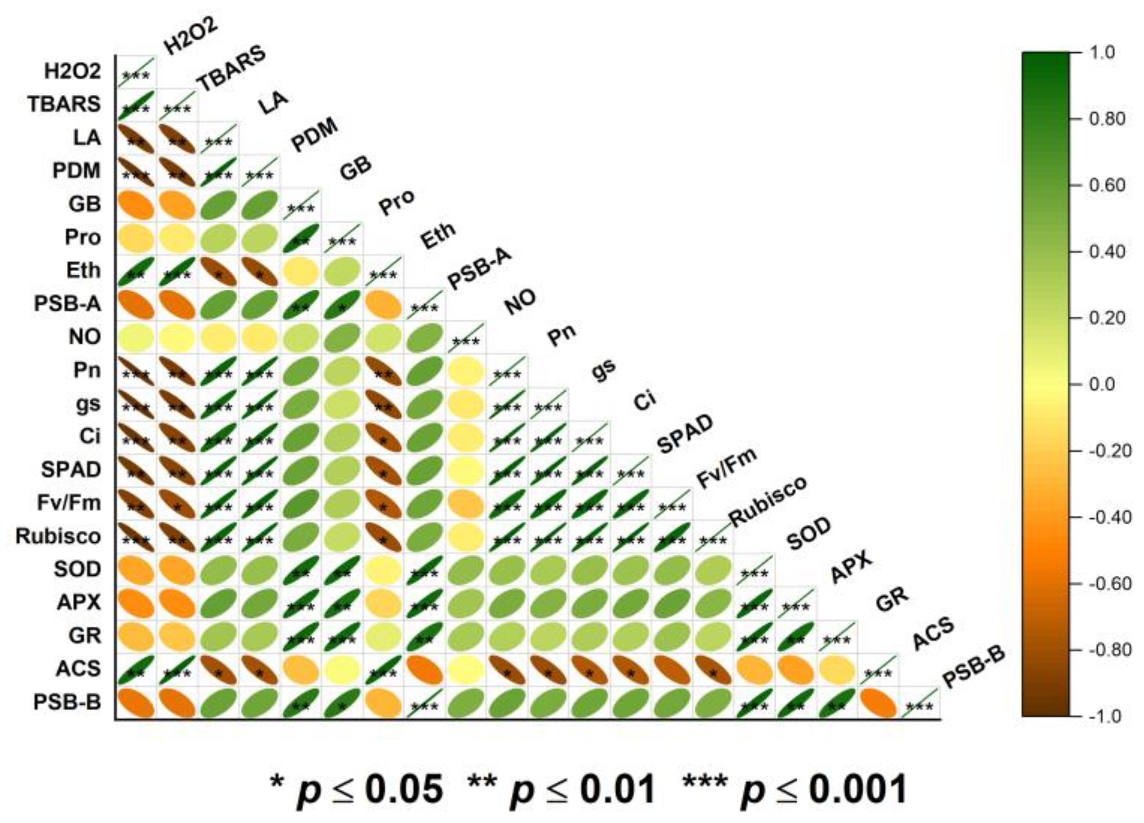 Plants 12 01256 g009