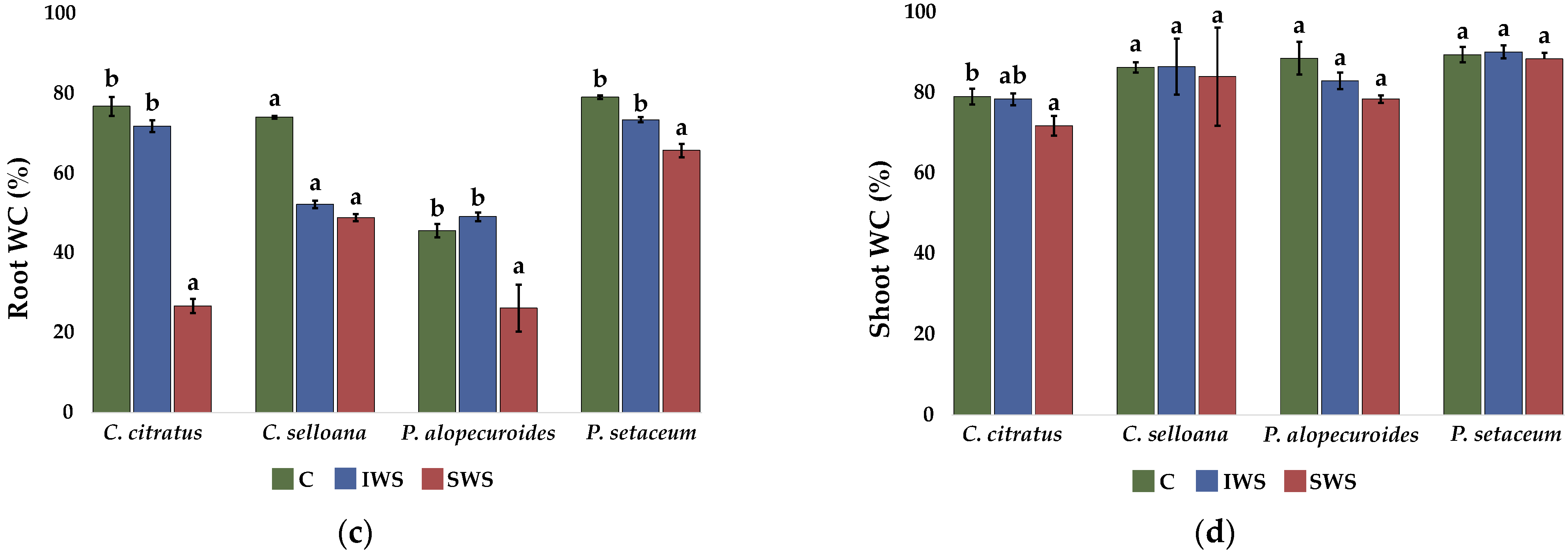 Plants 12 01260 g006b Plants 12 01260 g006b