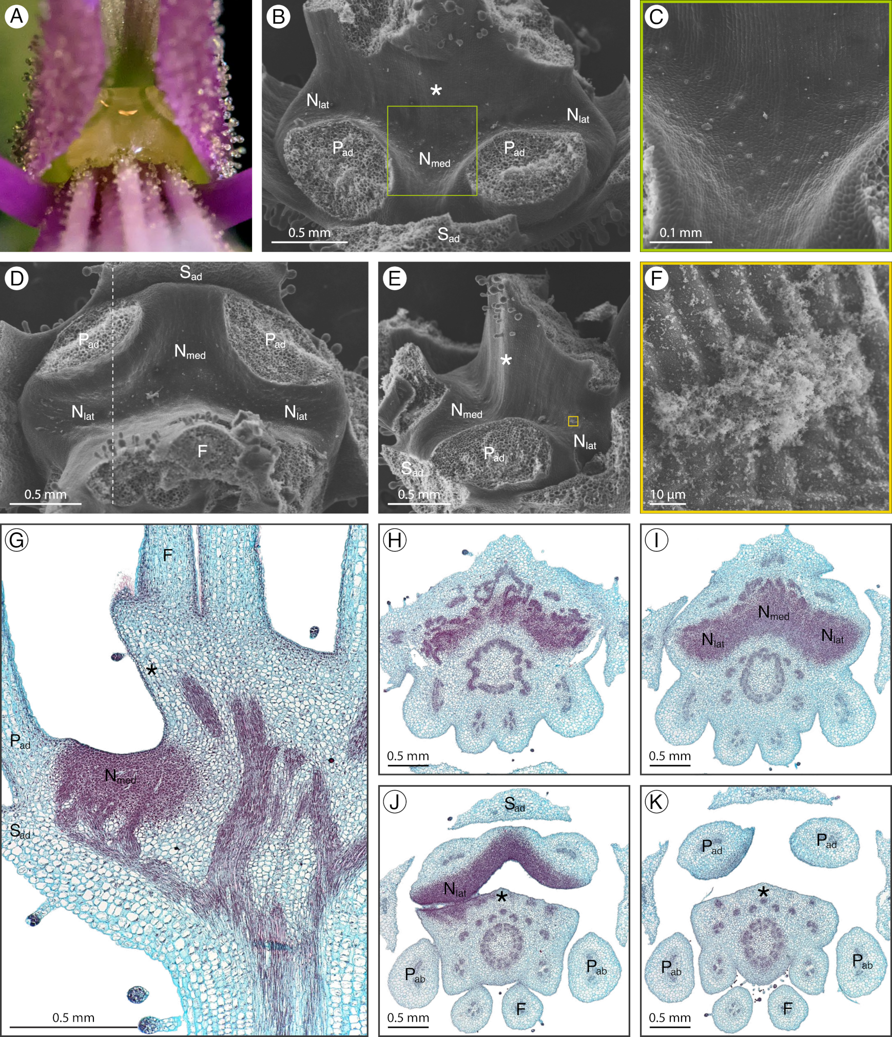 Plants 12 01263 g008