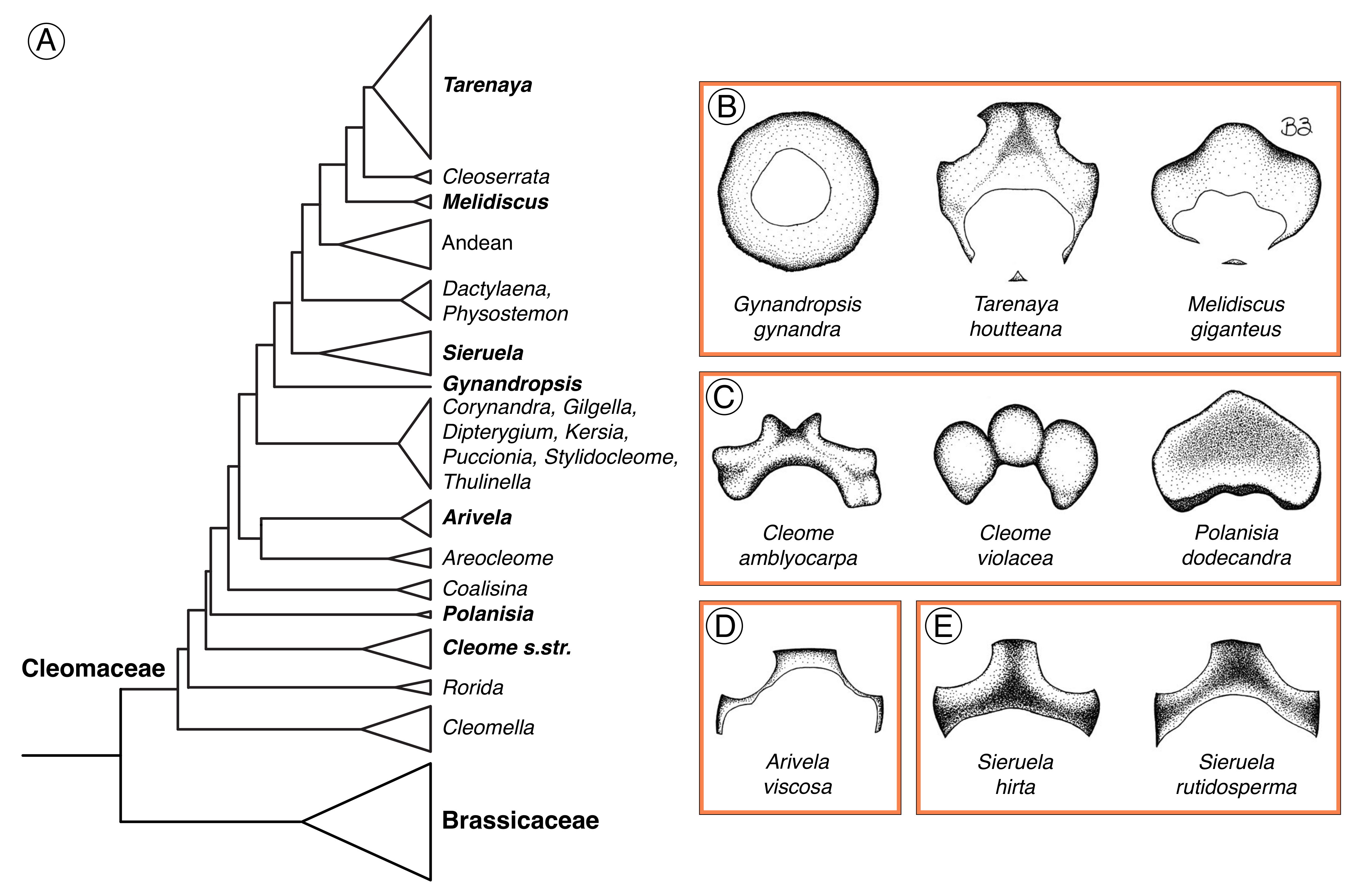 Plants 12 01263 g012