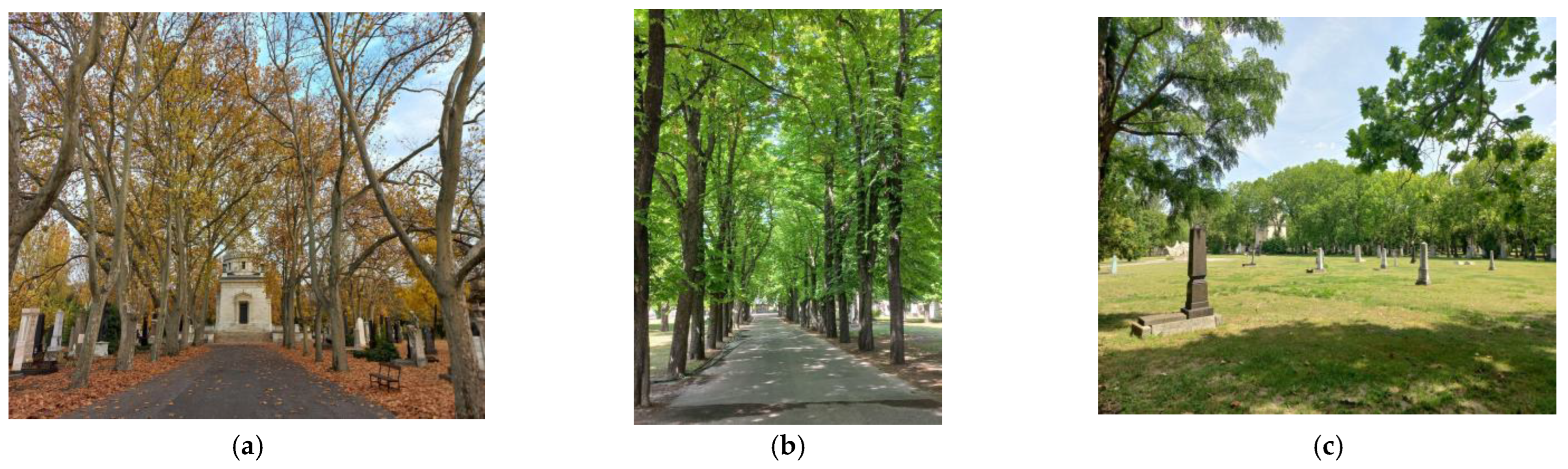 Plants 12 01269 g003 Plants 12 01269 g003