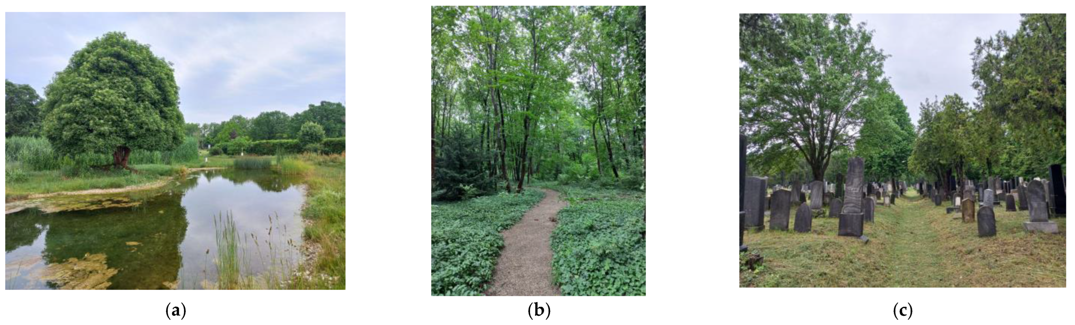 Plants 12 01269 g005 Plants 12 01269 g005