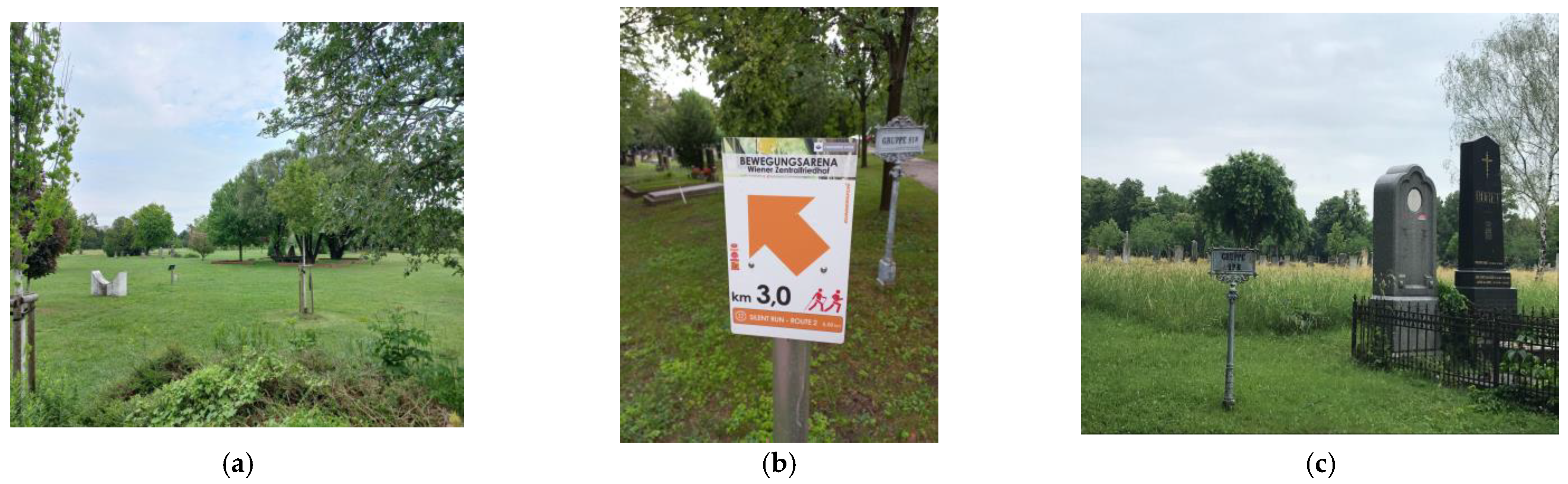 Plants 12 01269 g006 Plants 12 01269 g006