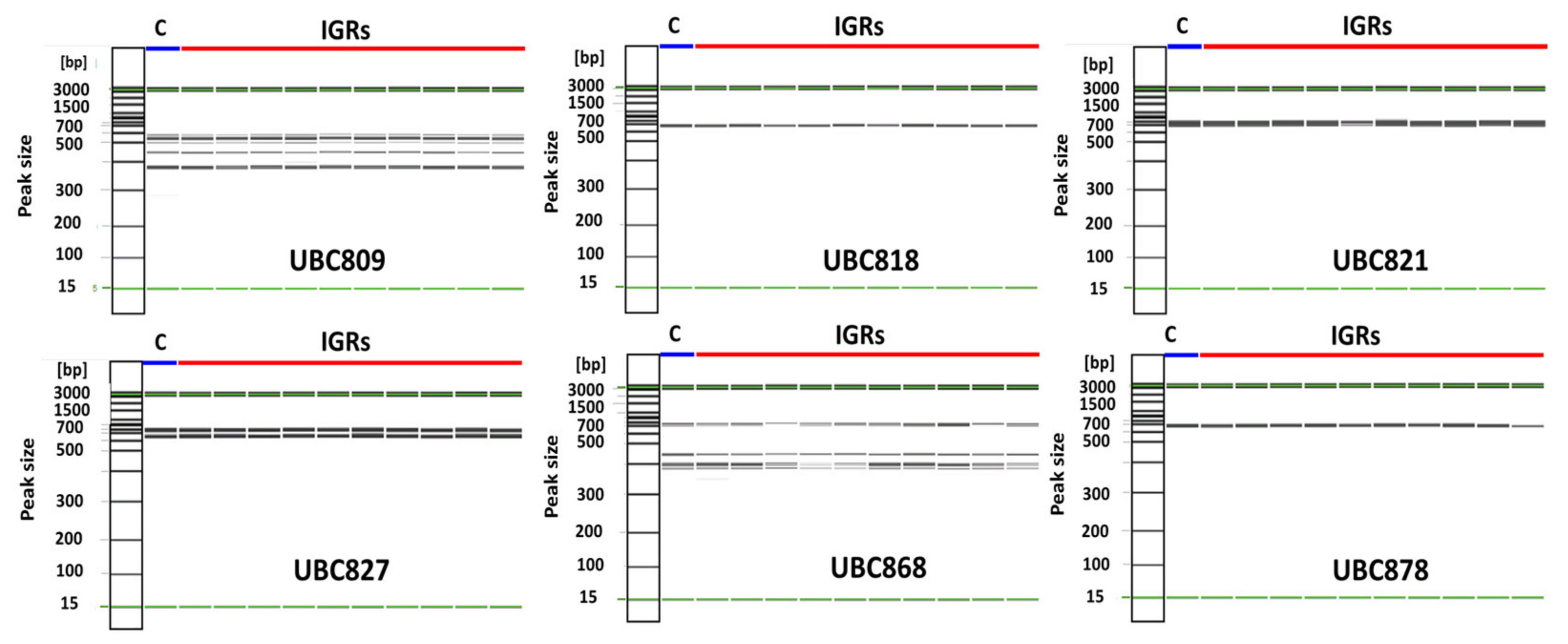 Plants 12 01270 g009