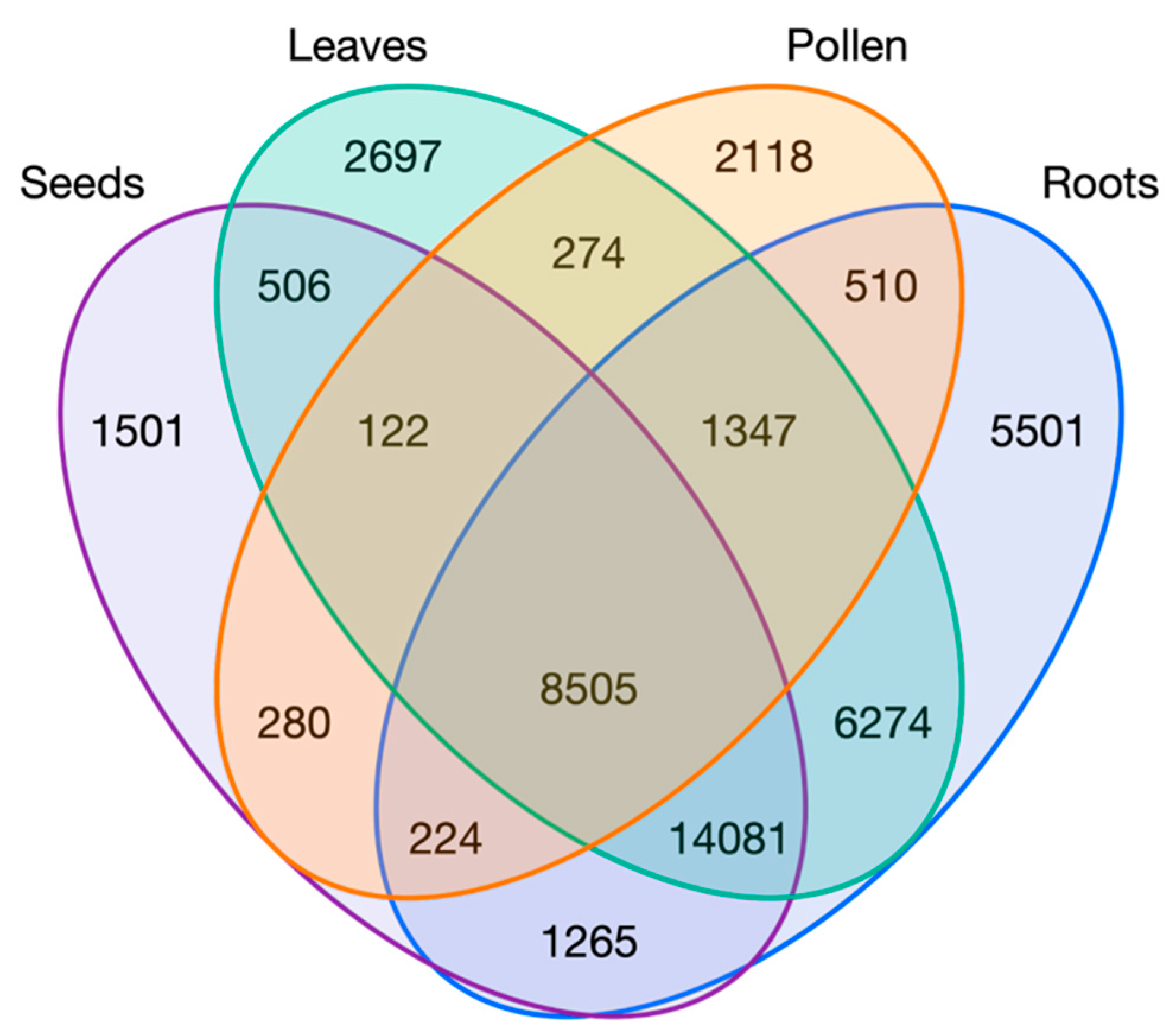 Plants 12 01274 g002 Plants 12 01274 g002